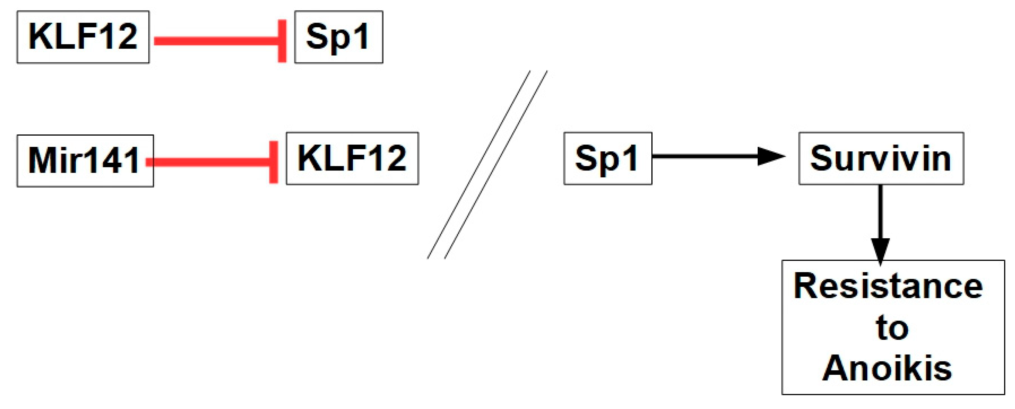 Preprints 186688 g011