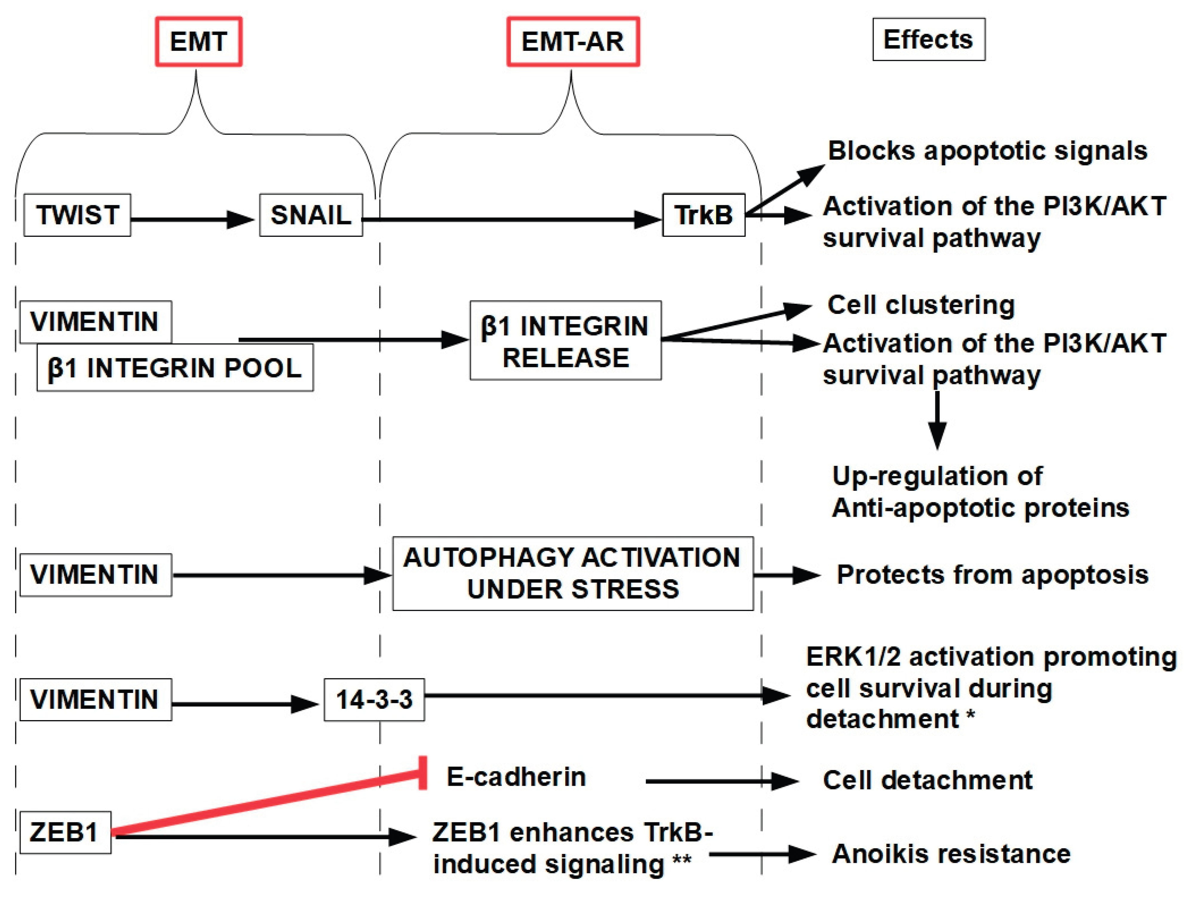 Preprints 186688 g013