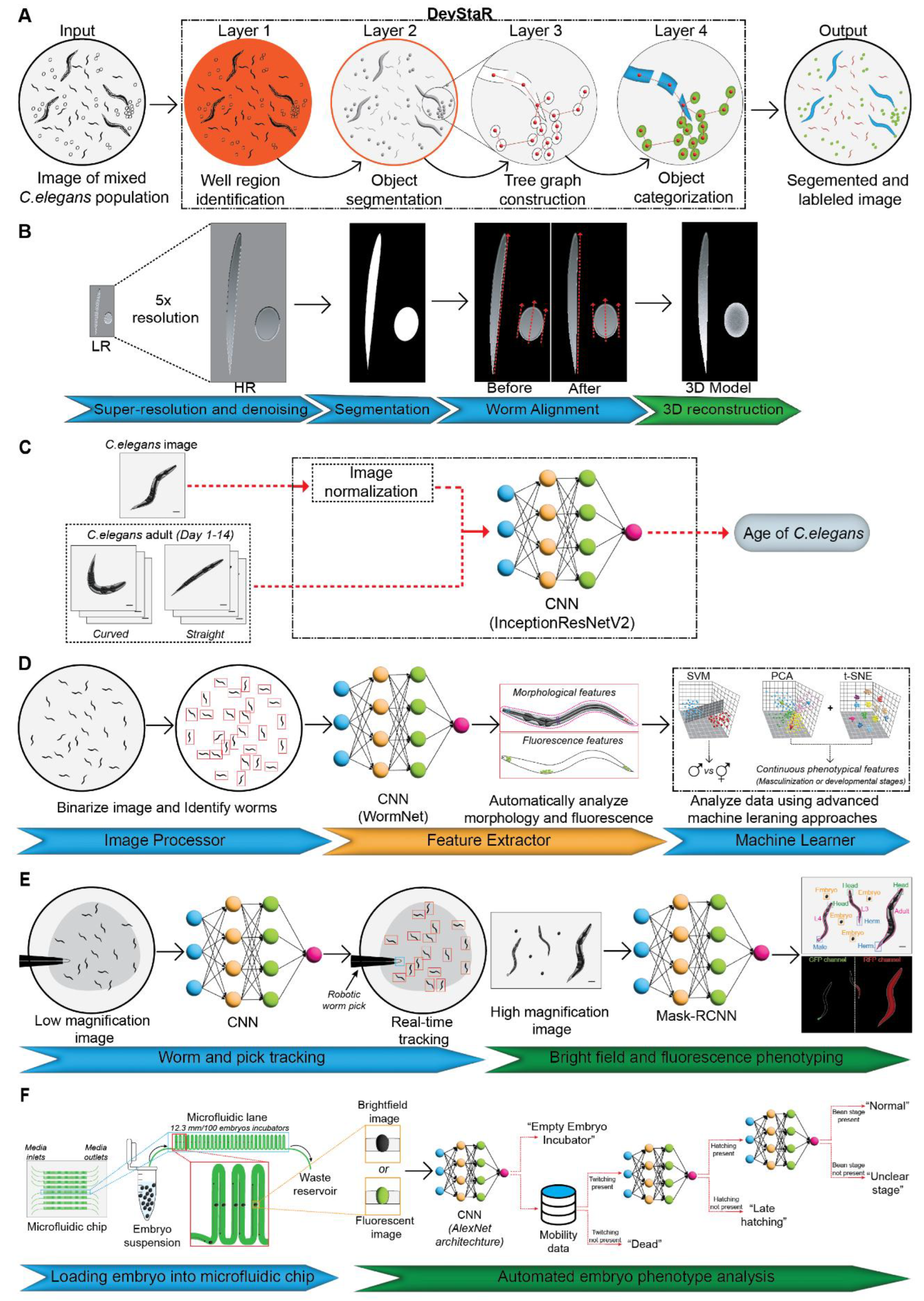 Preprints 171282 g002