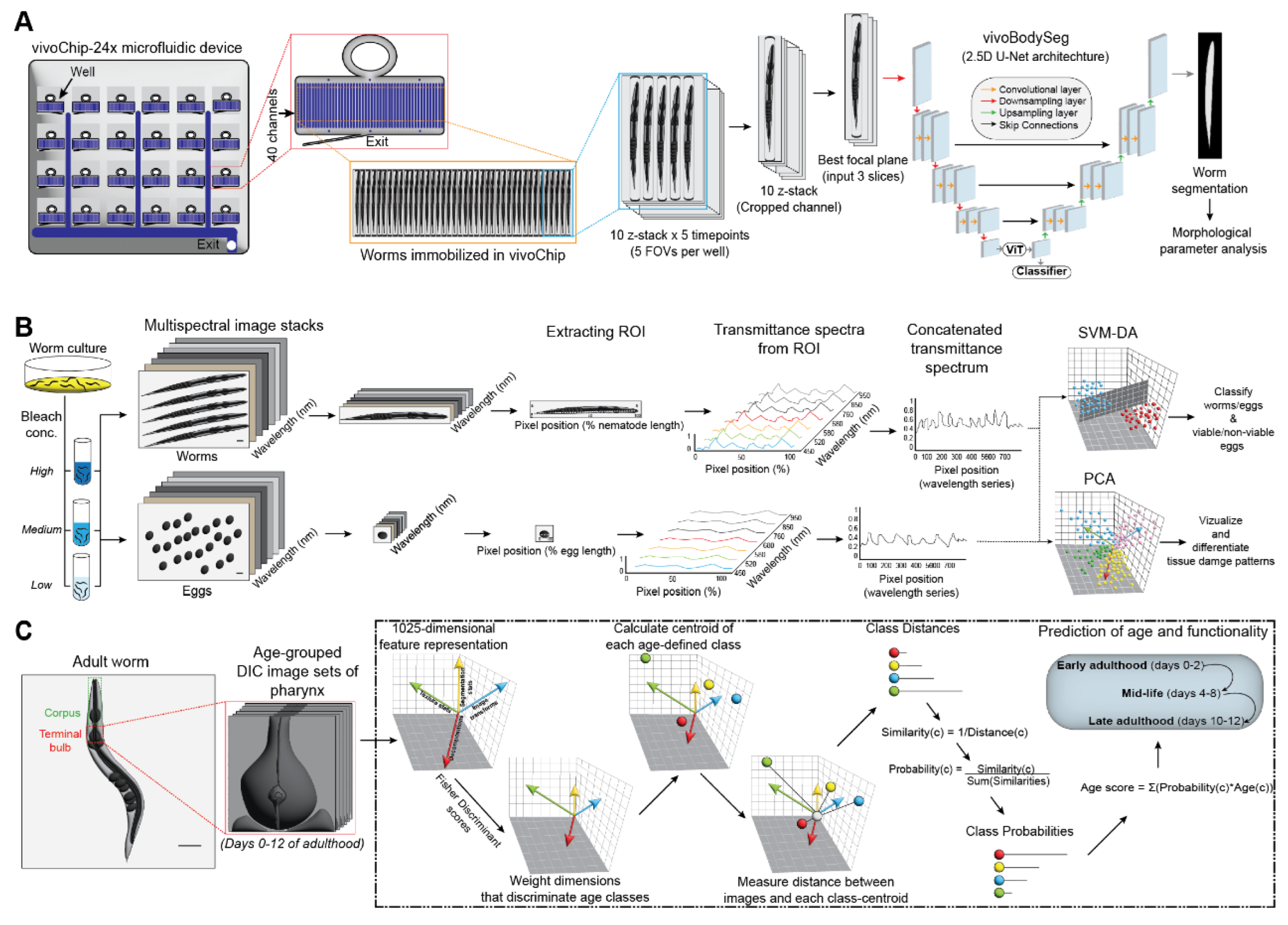 Preprints 171282 g003