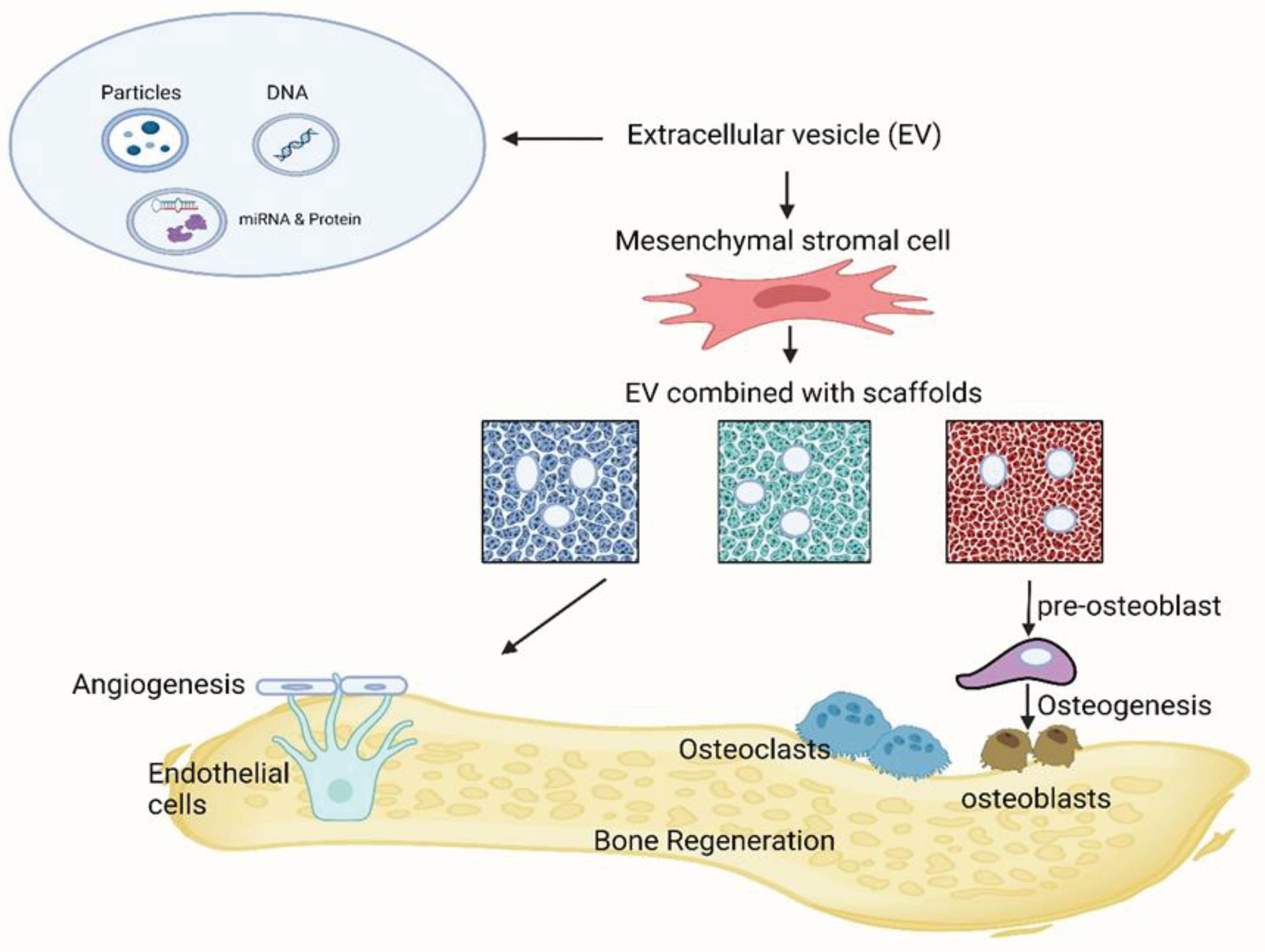 Preprints 103111 g005