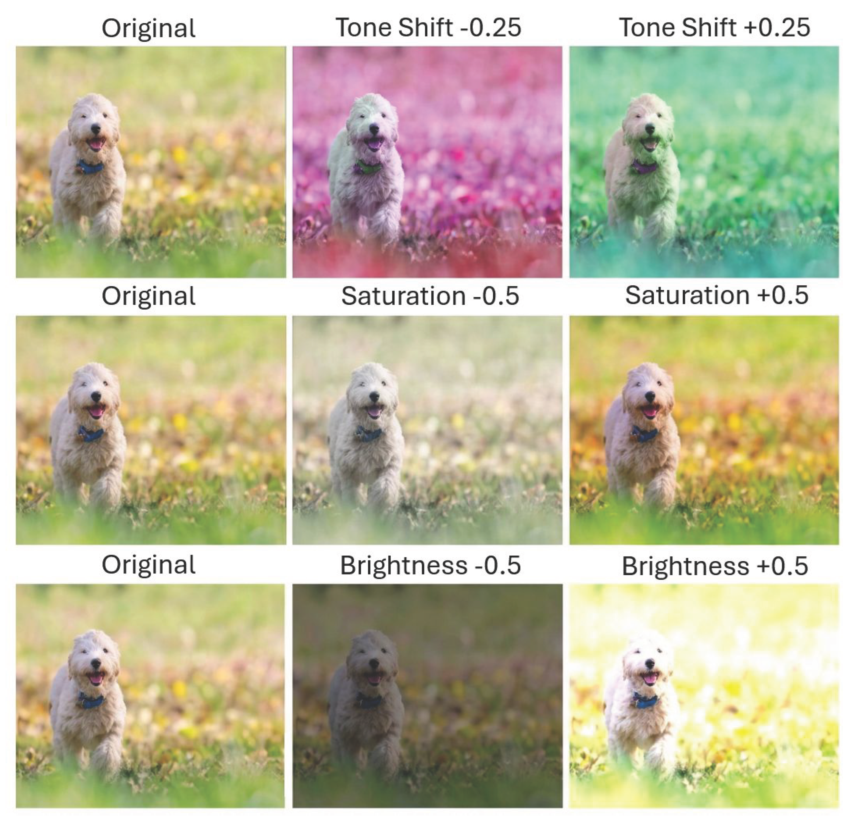 Preprints 199766 g002