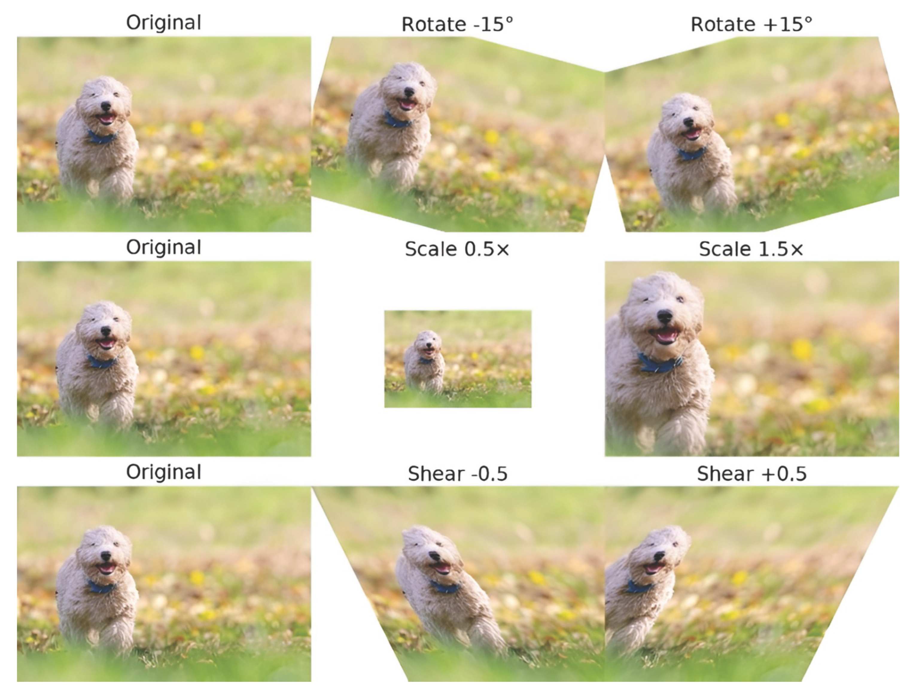 Preprints 199766 g003