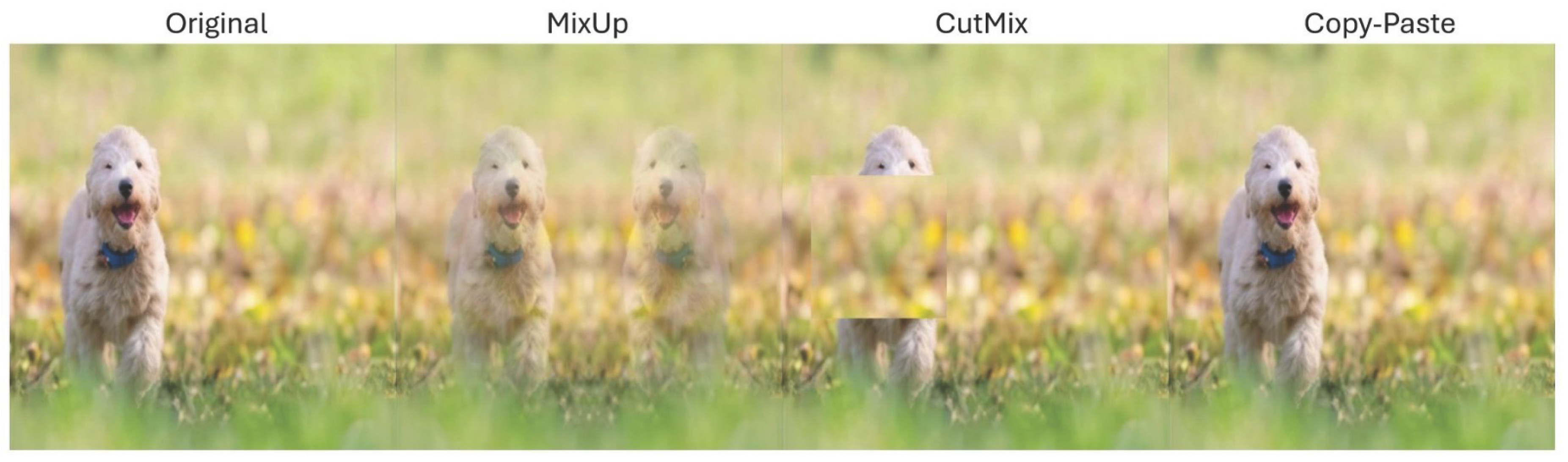 Preprints 199766 g004