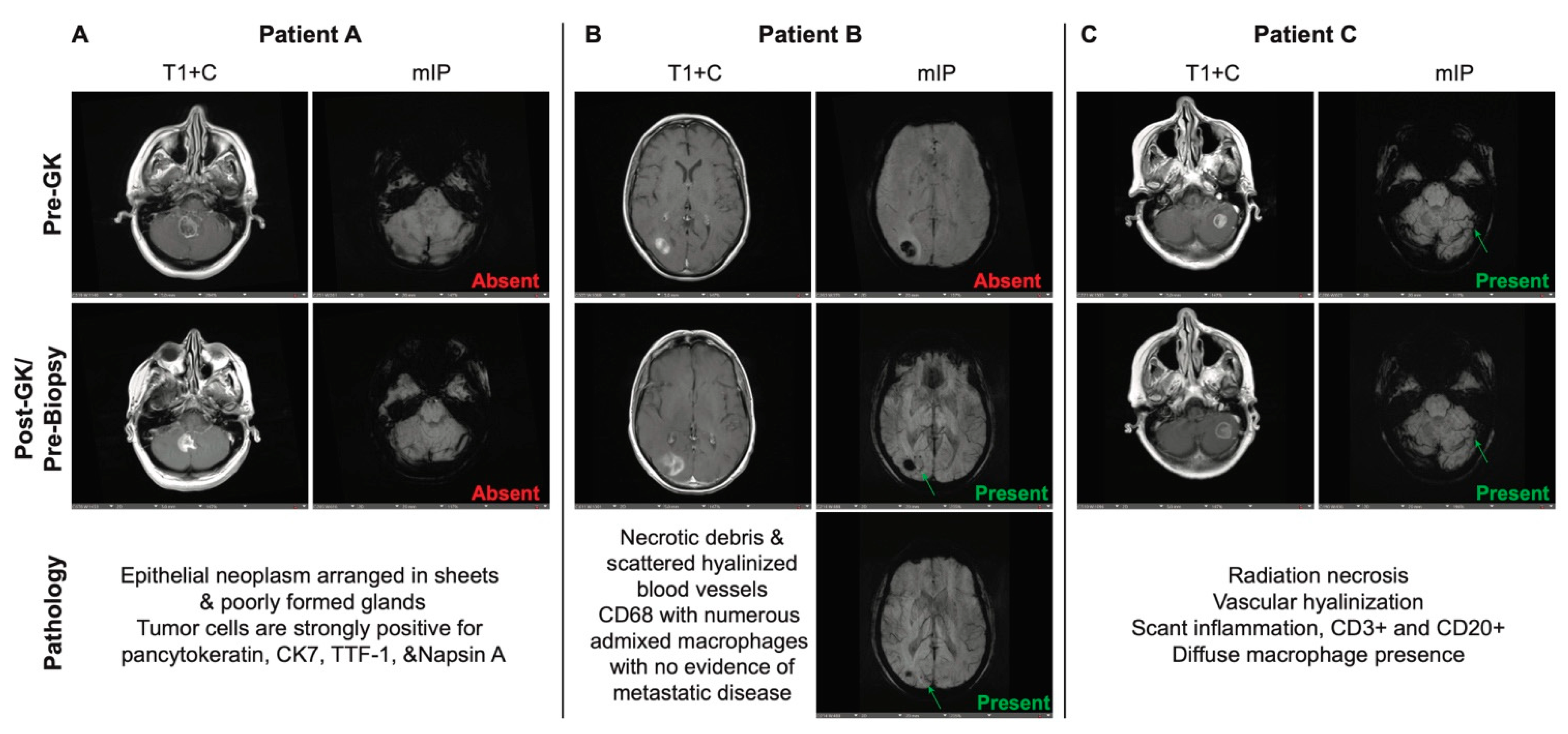 Preprints 147373 g001