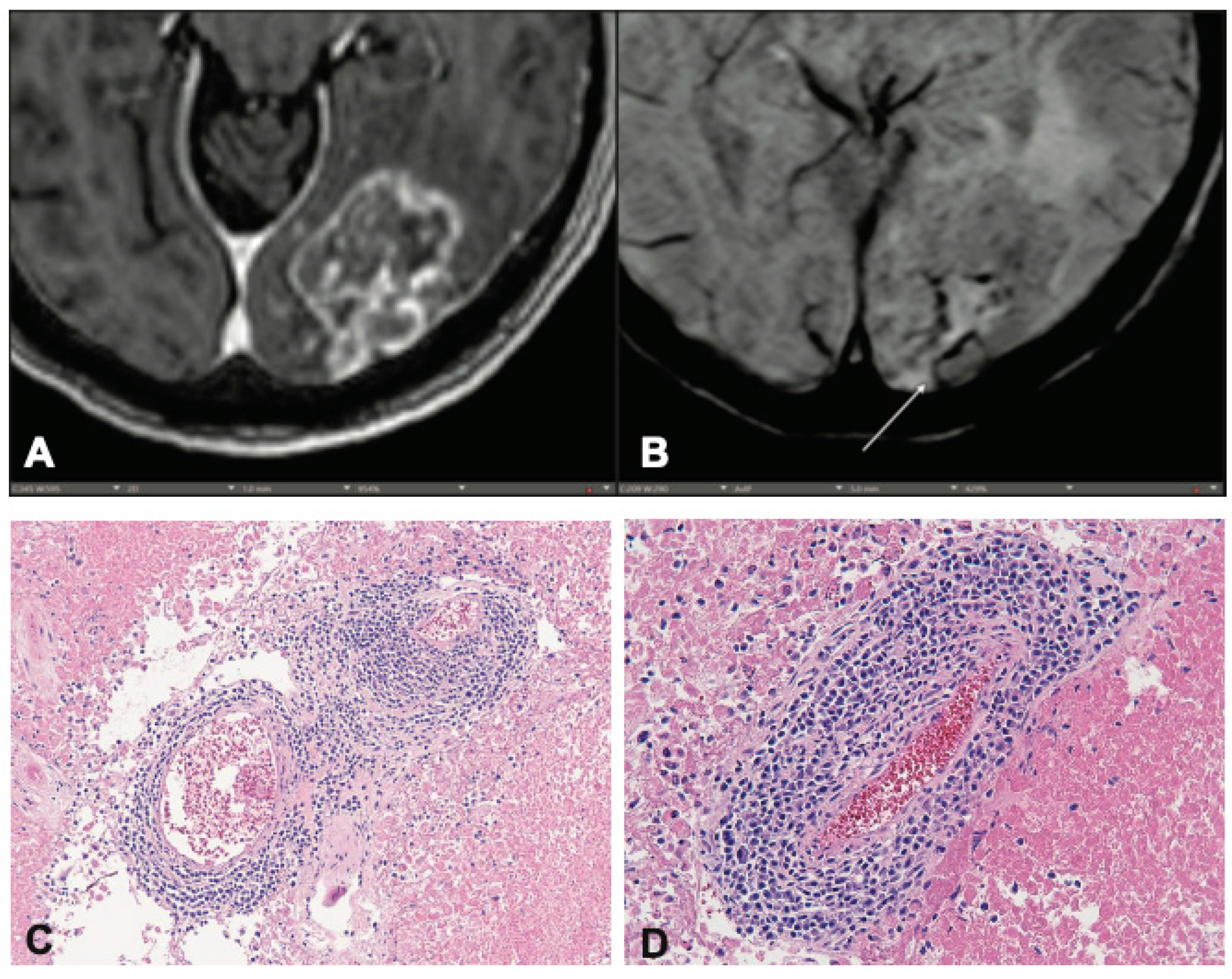 Preprints 147373 g002