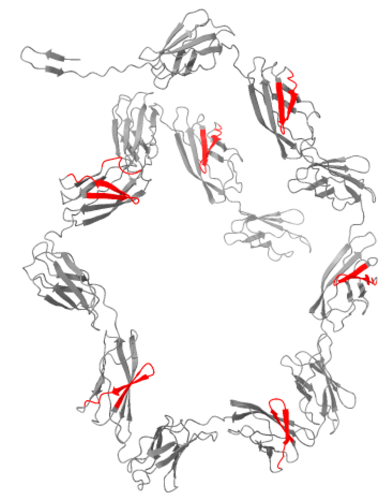 Preprints 201606 g005
