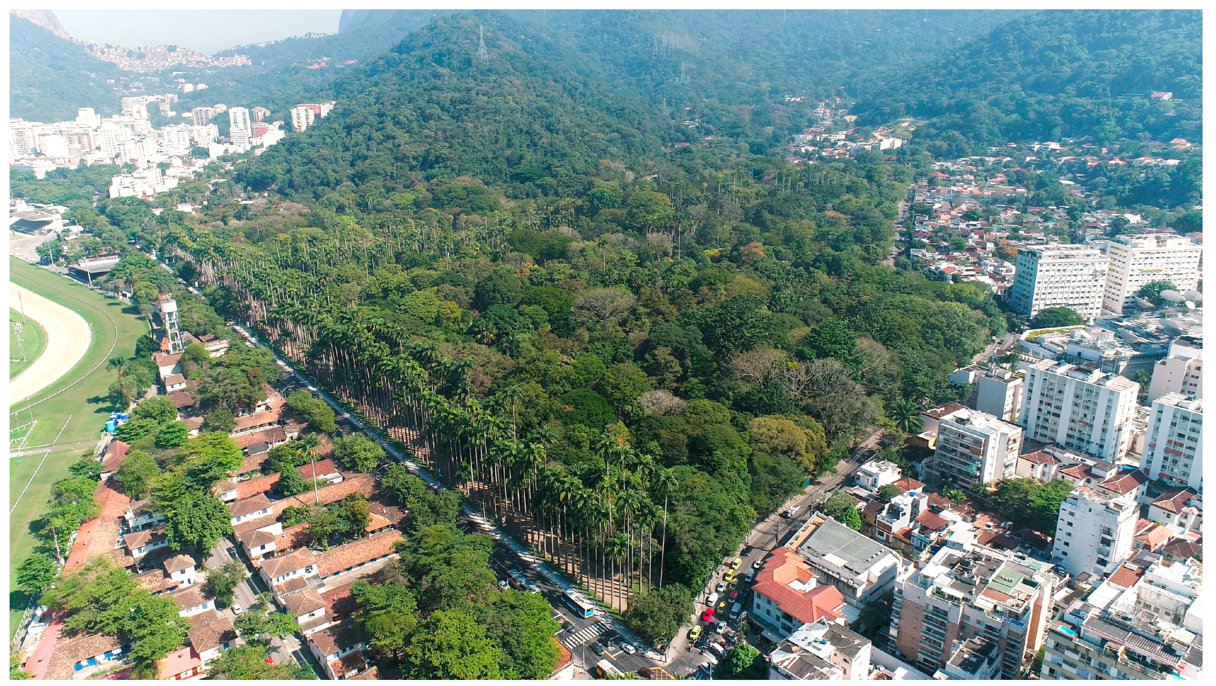 Preprints 115447 g001