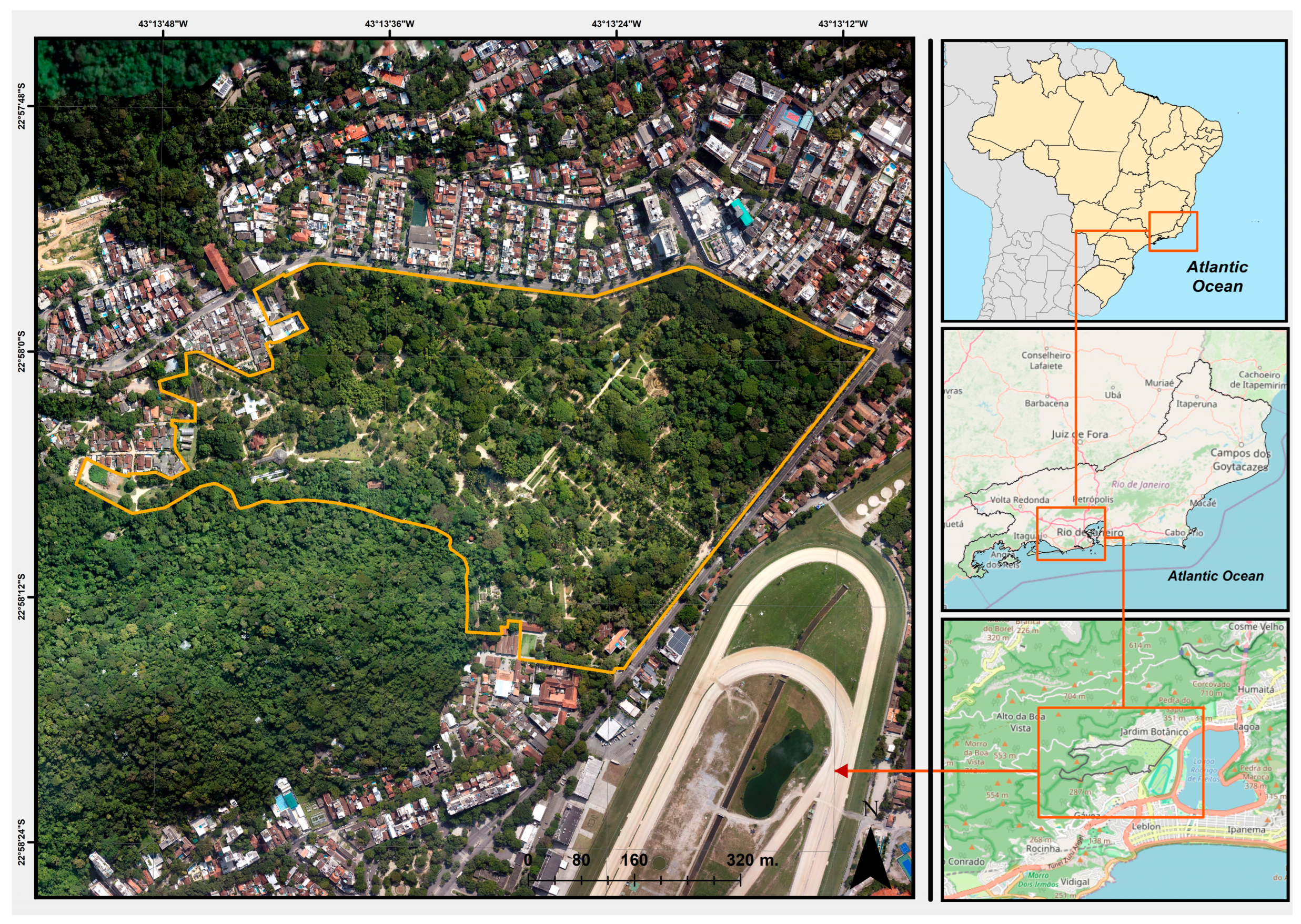 Preprints 115447 g002