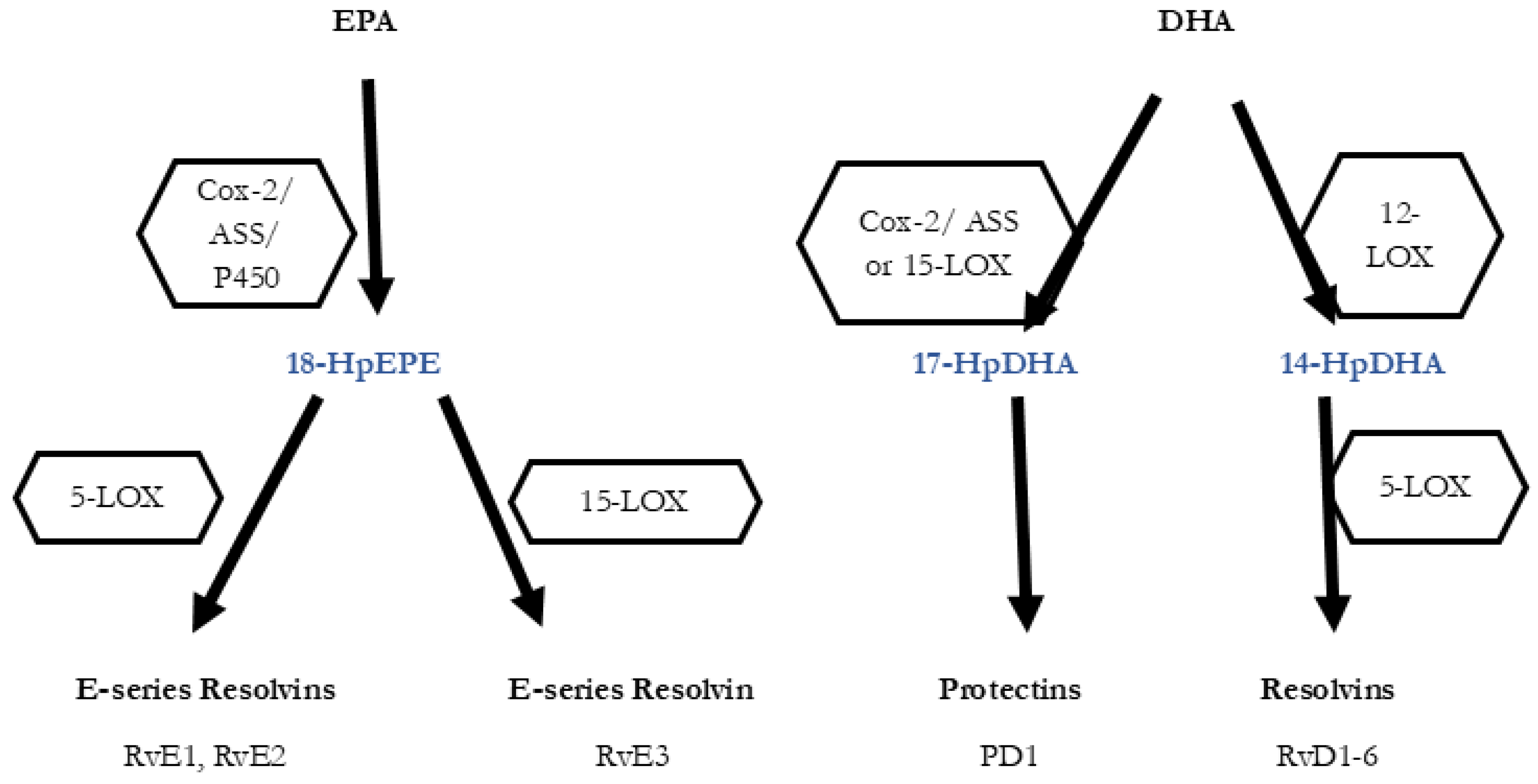 Preprints 159654 g001
