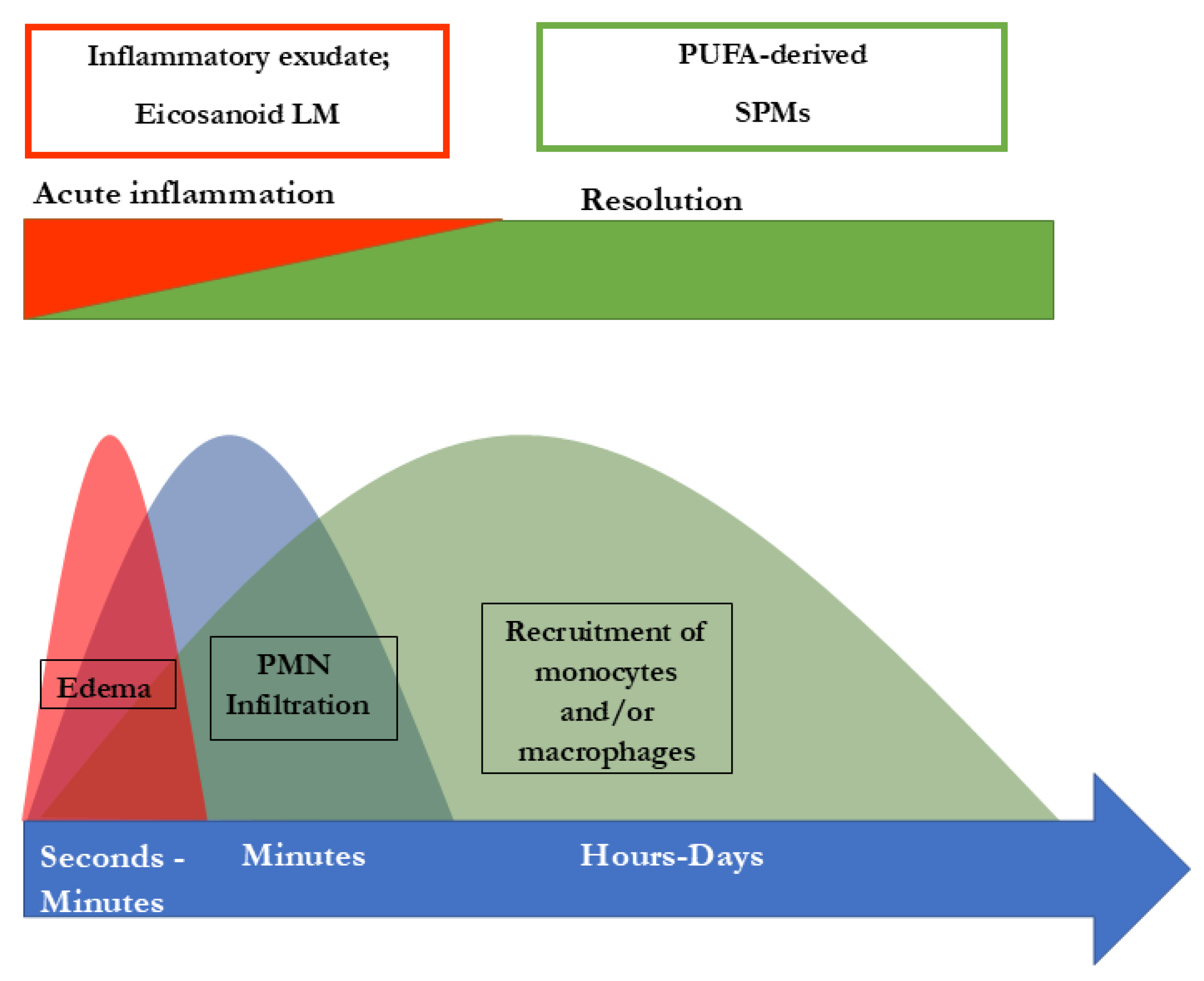 Preprints 159654 g002