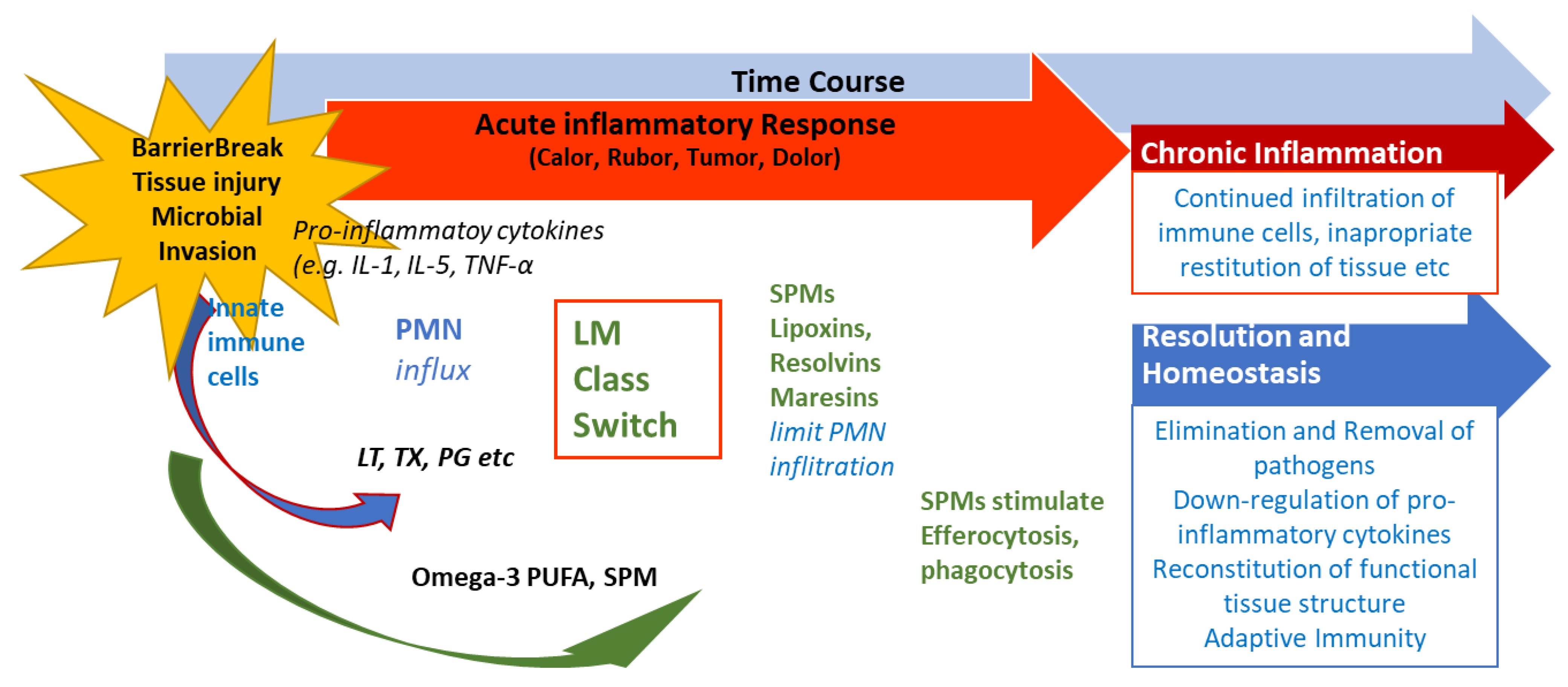 Preprints 159654 g003