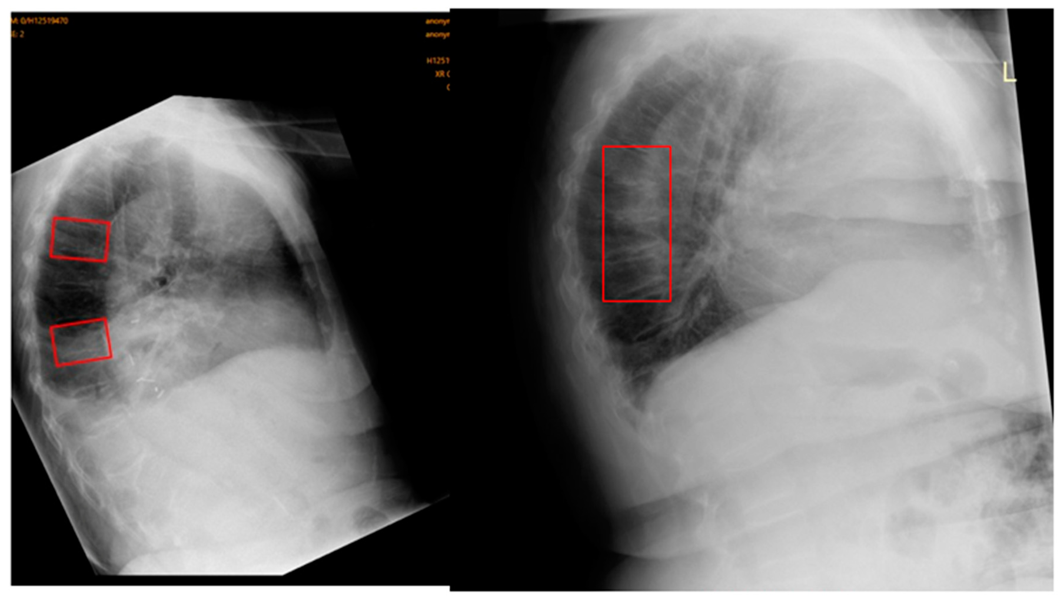 Preprints 91048 g003