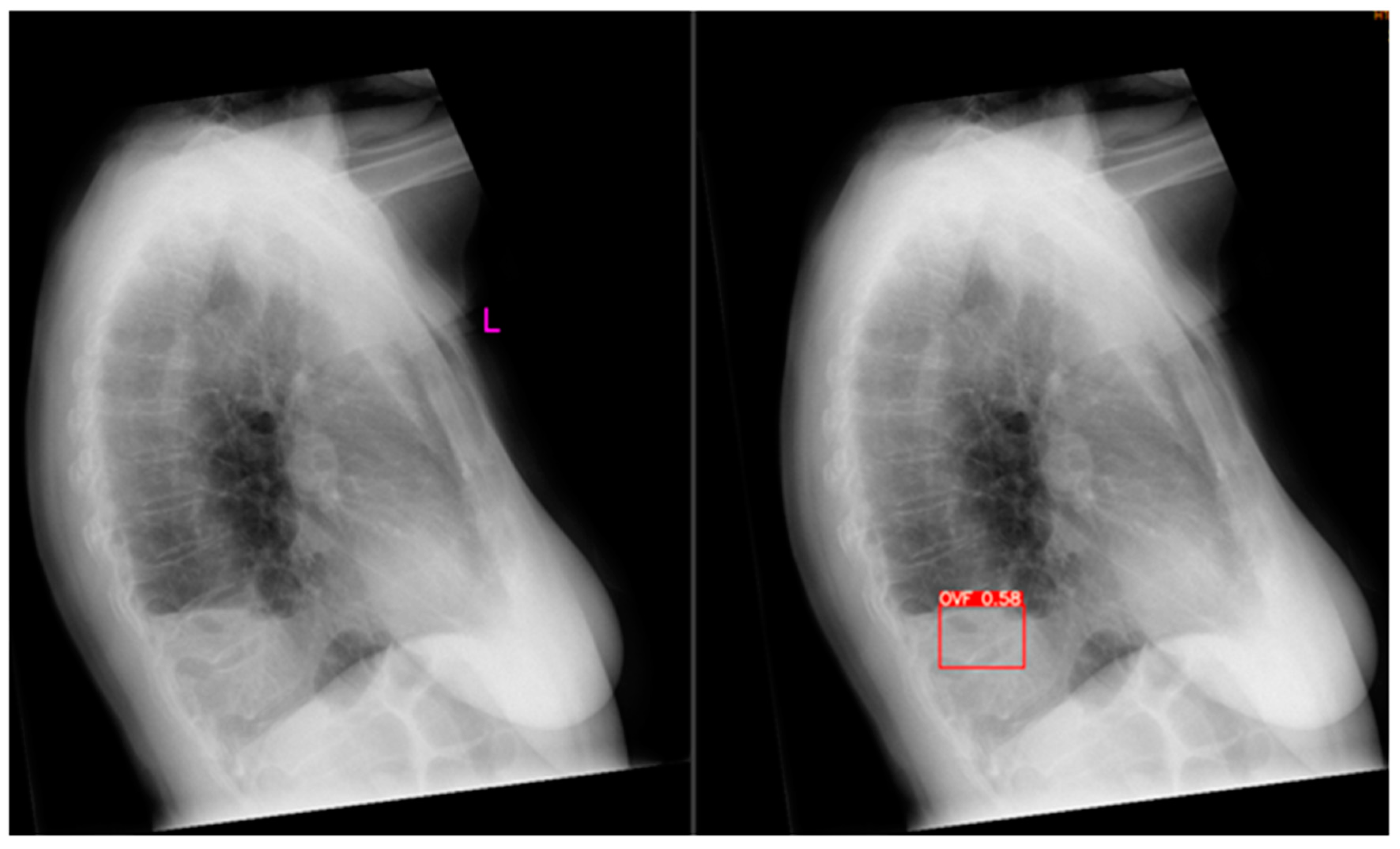 Preprints 91048 g004