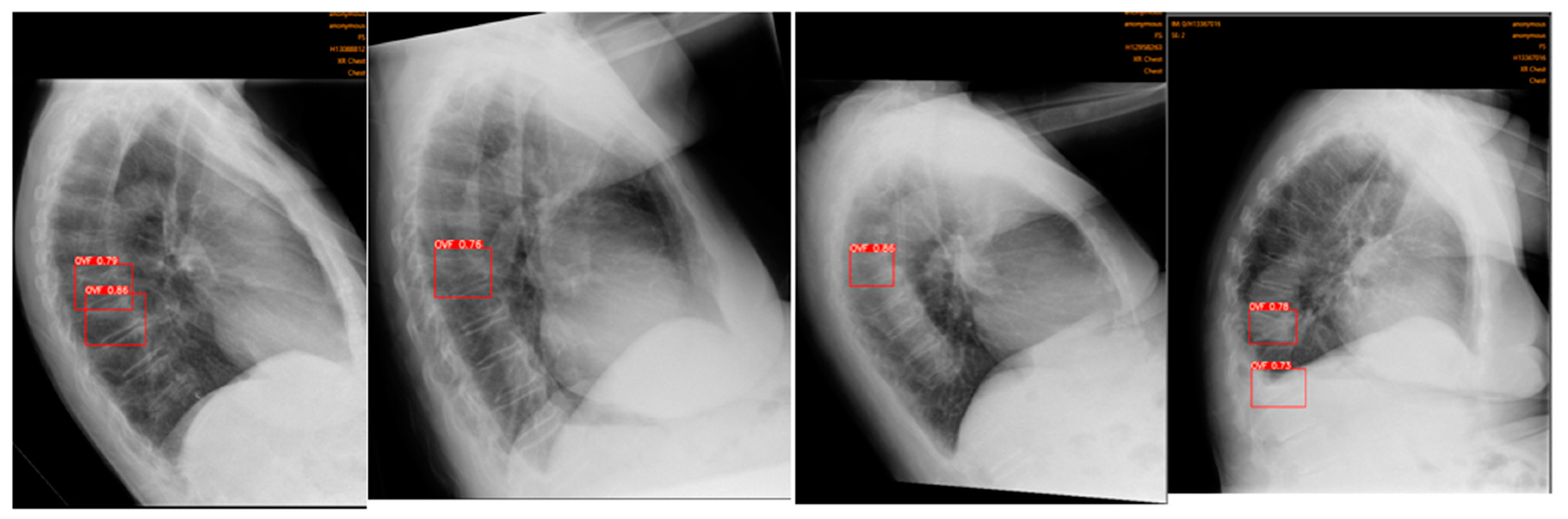 Preprints 91048 g006