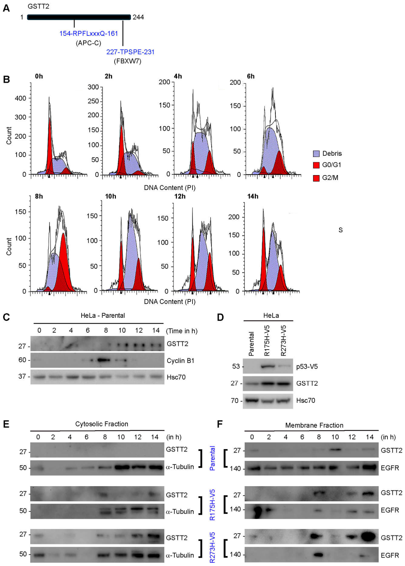 Preprints 229388 g003 Preprints 229388 g003