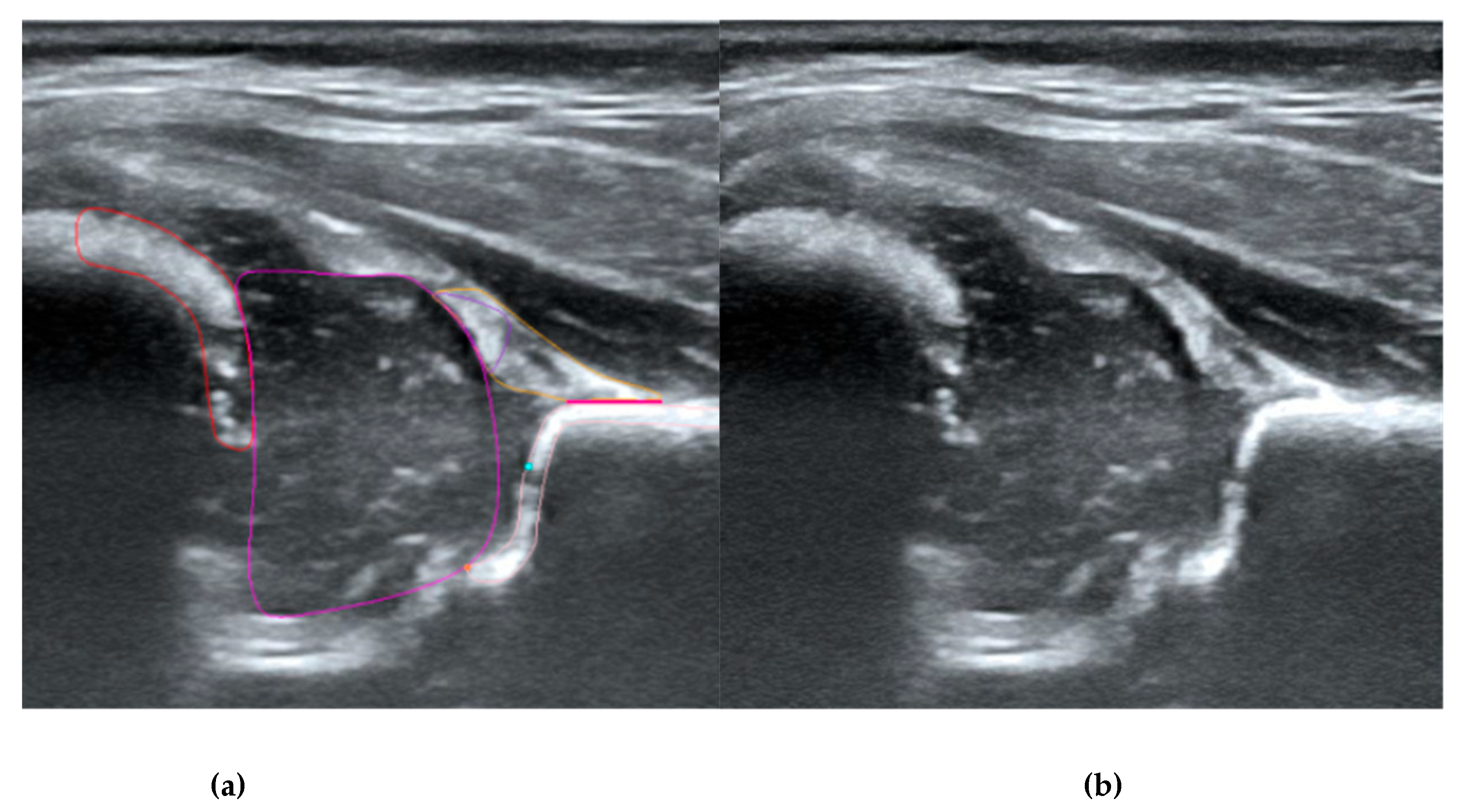 Preprints 170763 g001