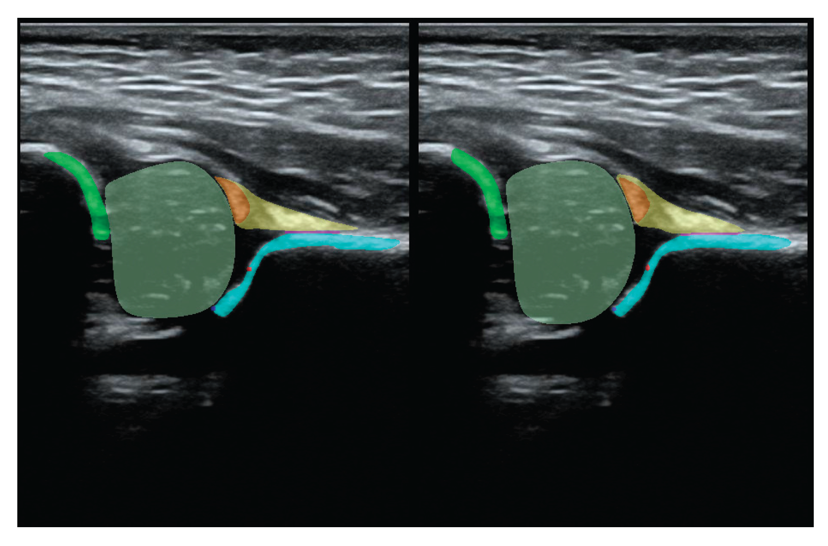 Preprints 170763 g003a