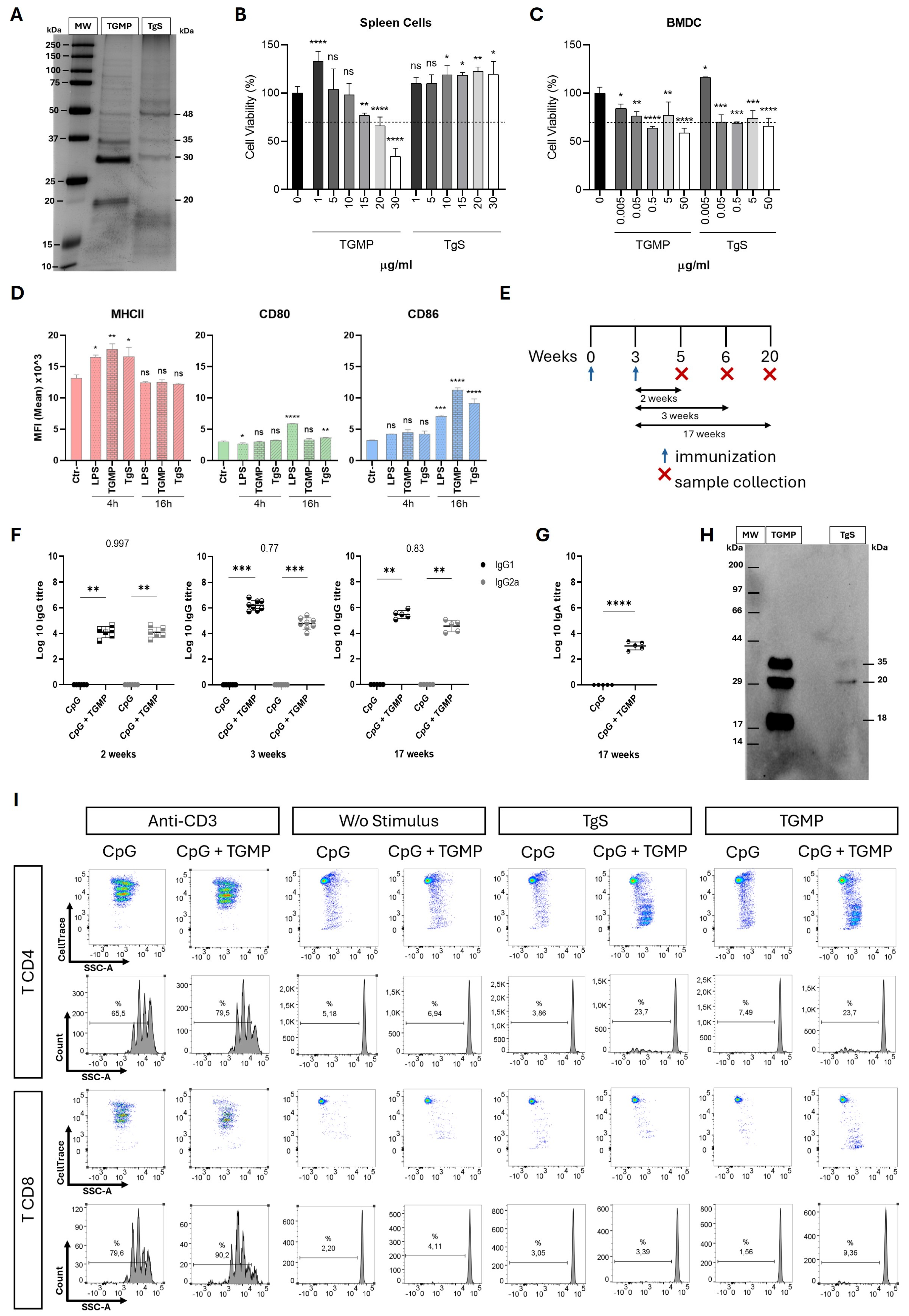 Protective Effect Against Acute Experimental Toxoplasmosis