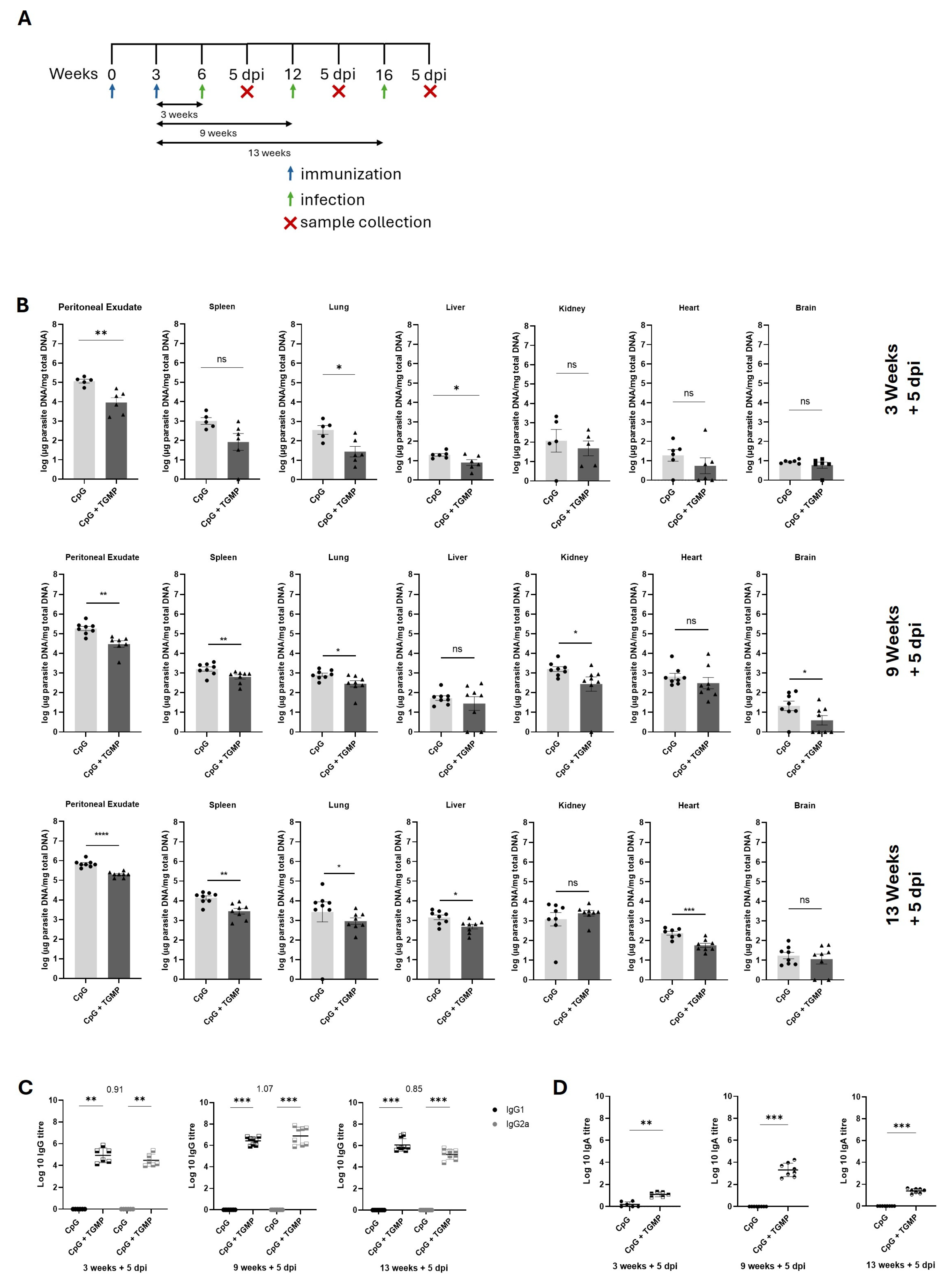 Preprints 211253 g002
