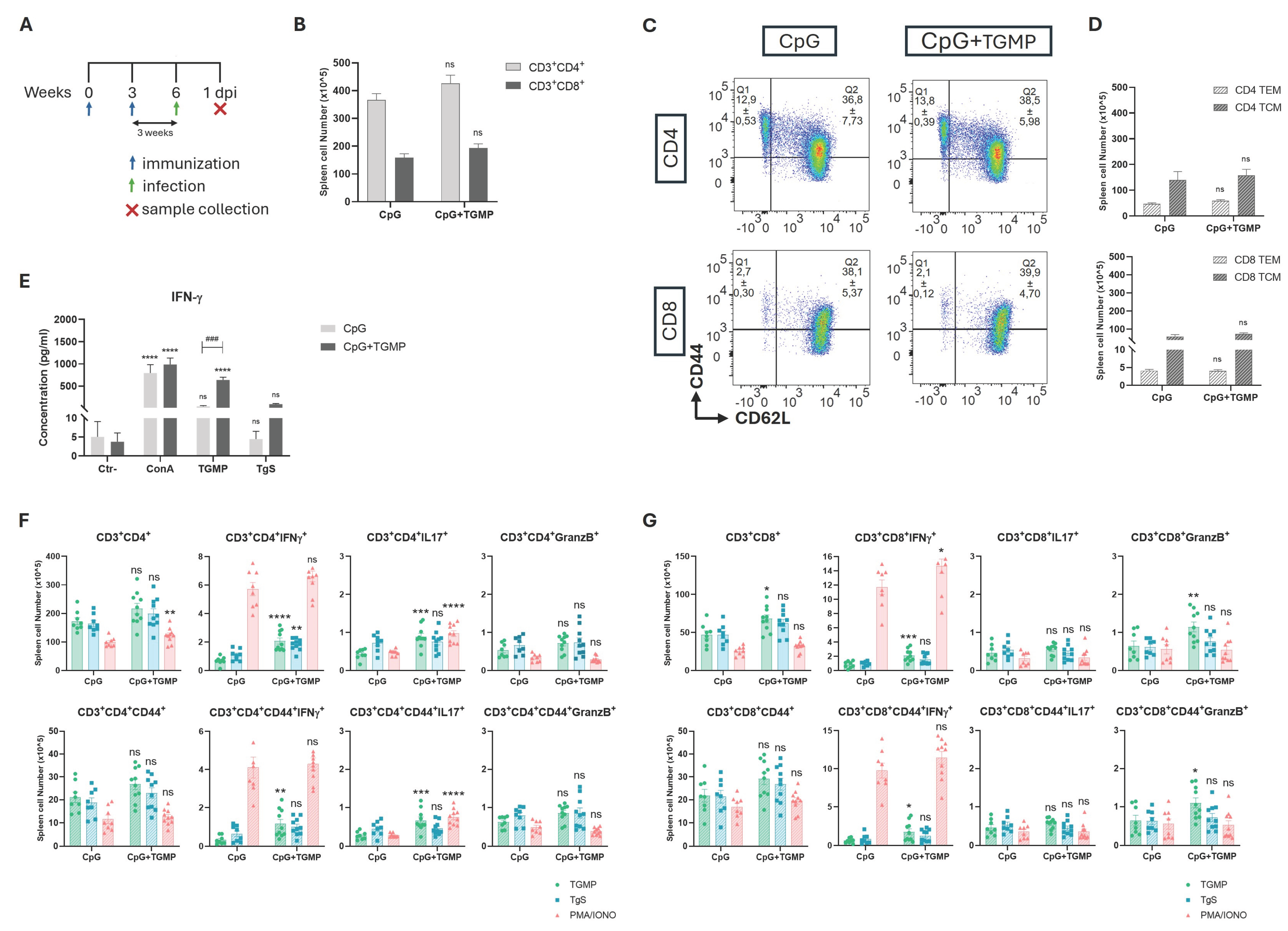 Preprints 211253 g003