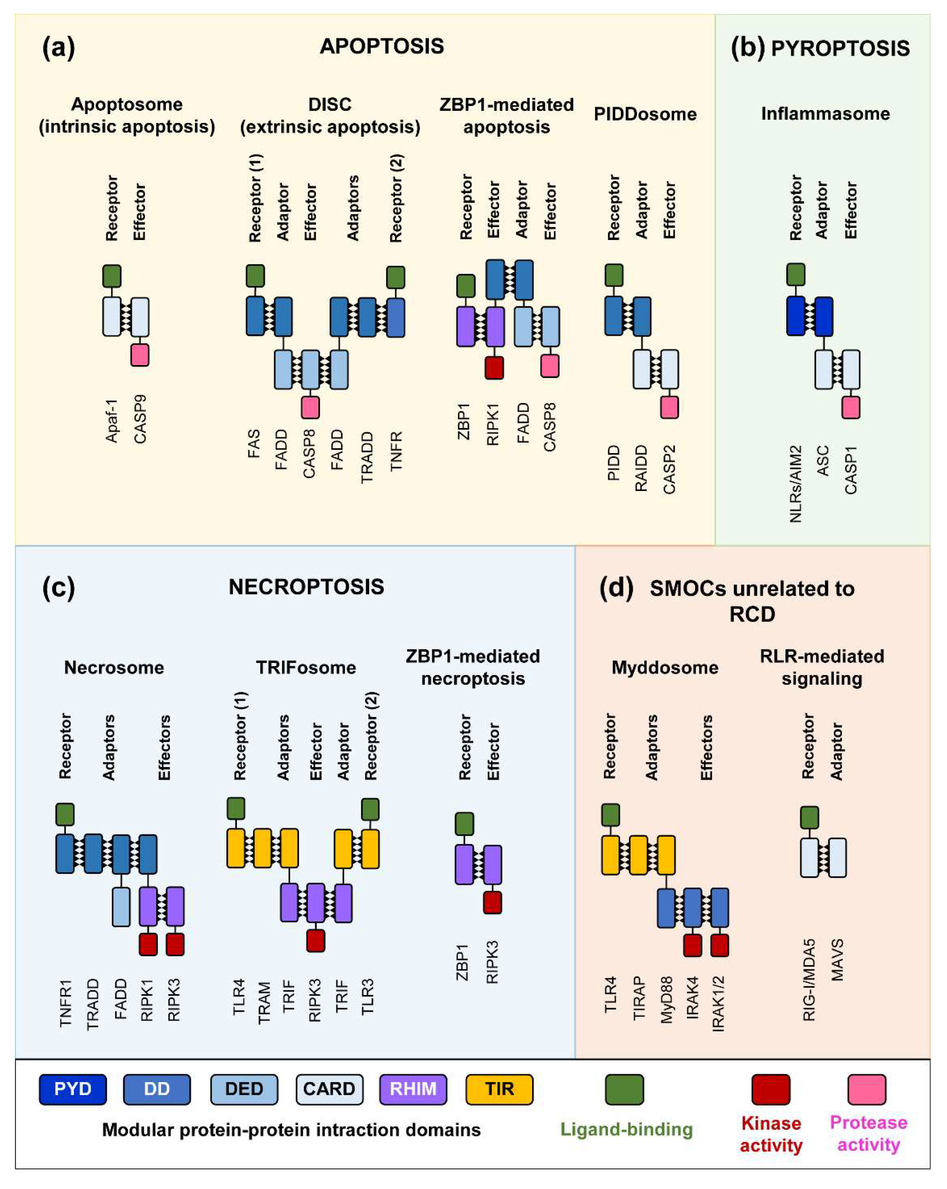 Preprints 152020 g001