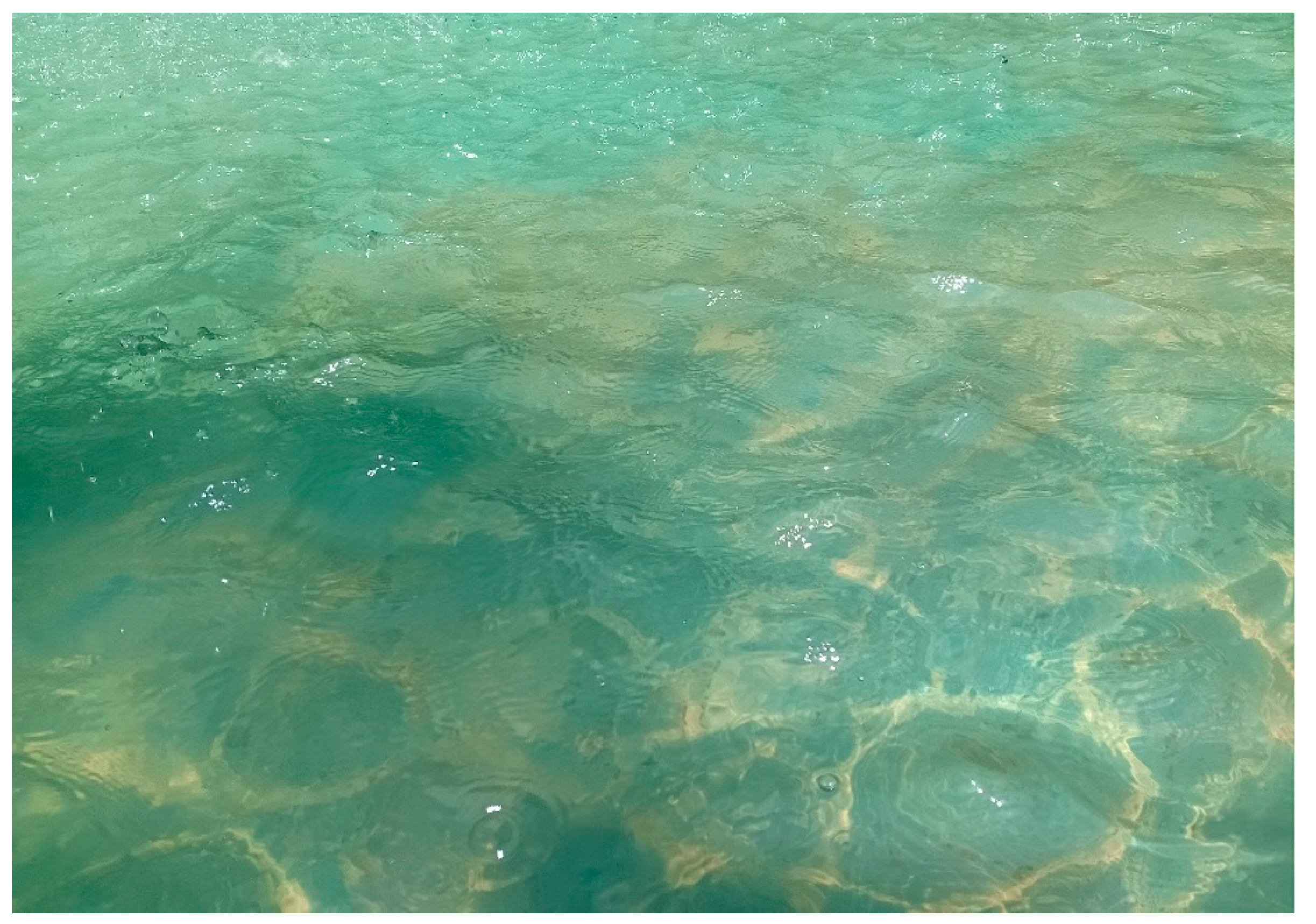 Preprints 159594 g017