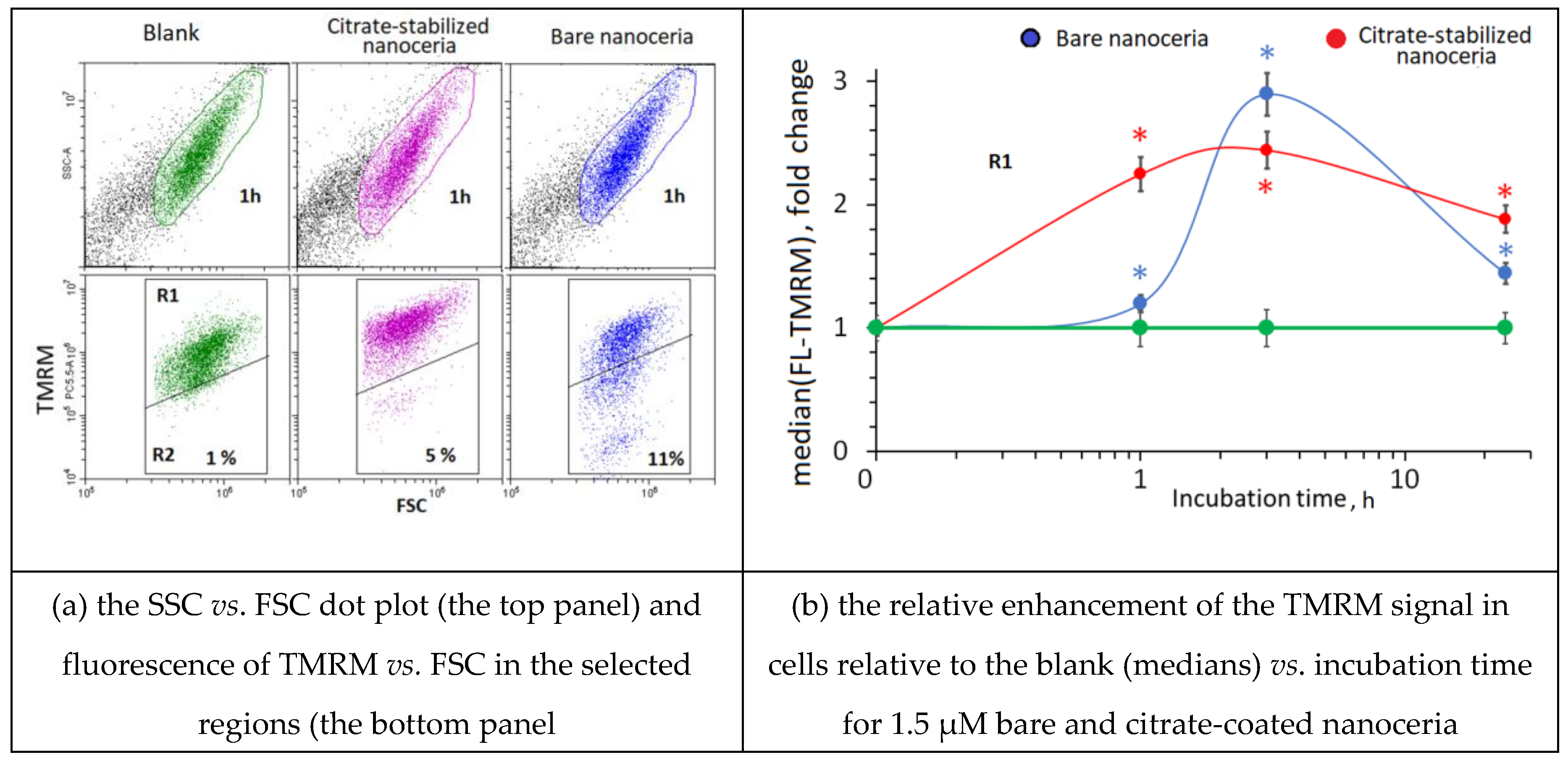 Preprints 142945 g002