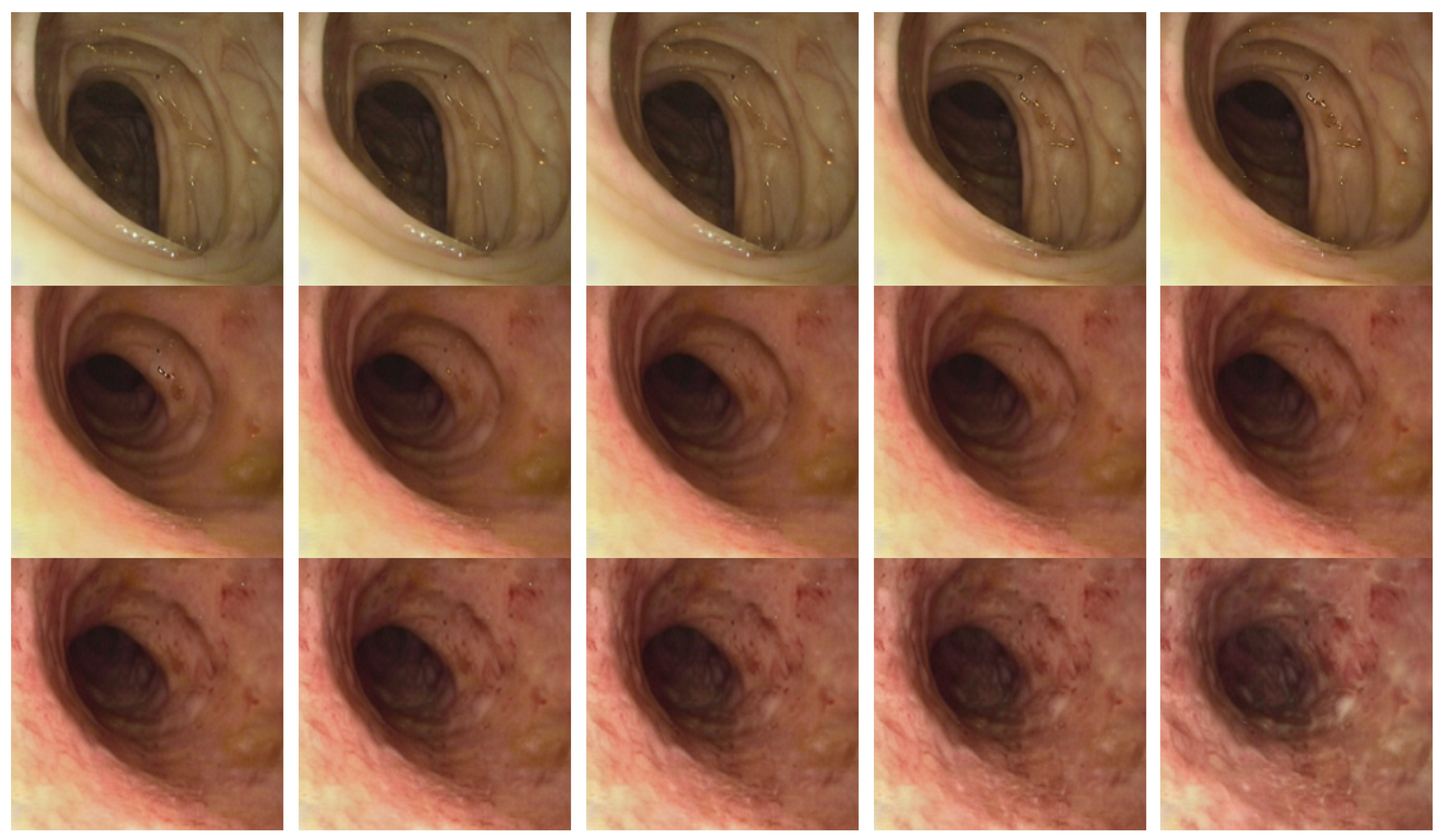 Preprints 175196 g004