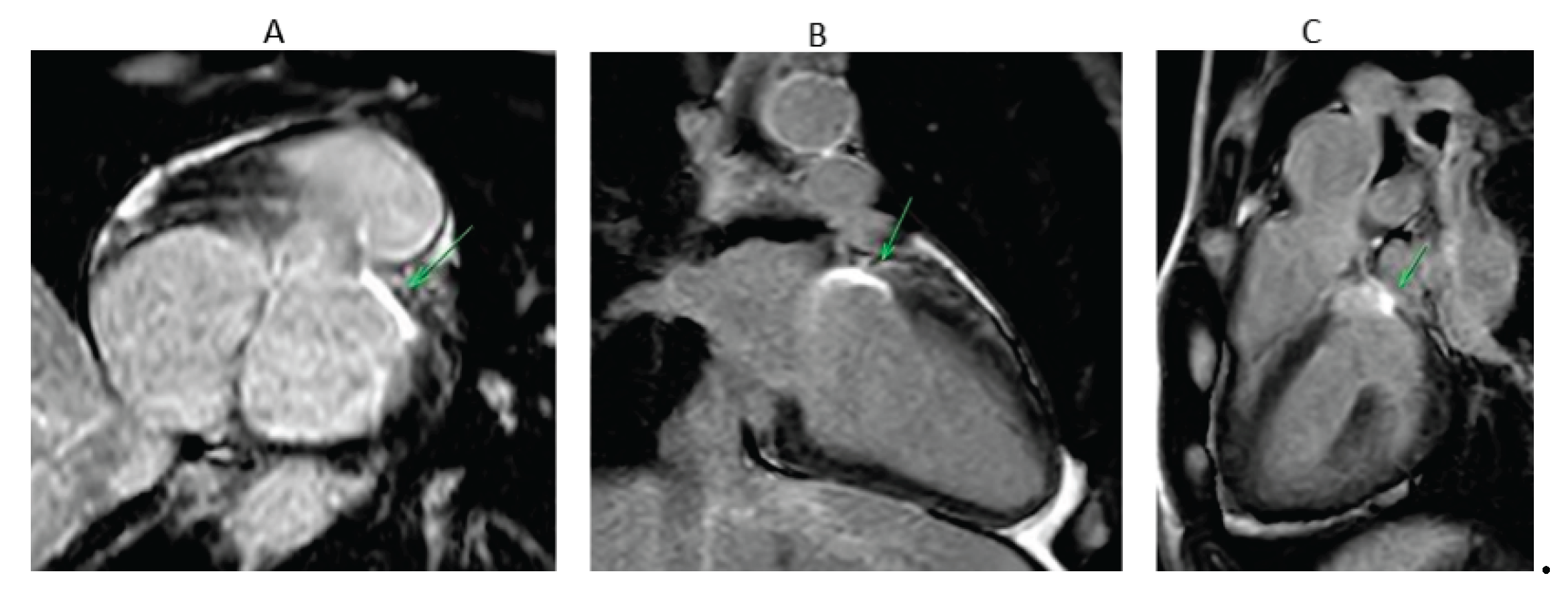 Preprints 164375 g004