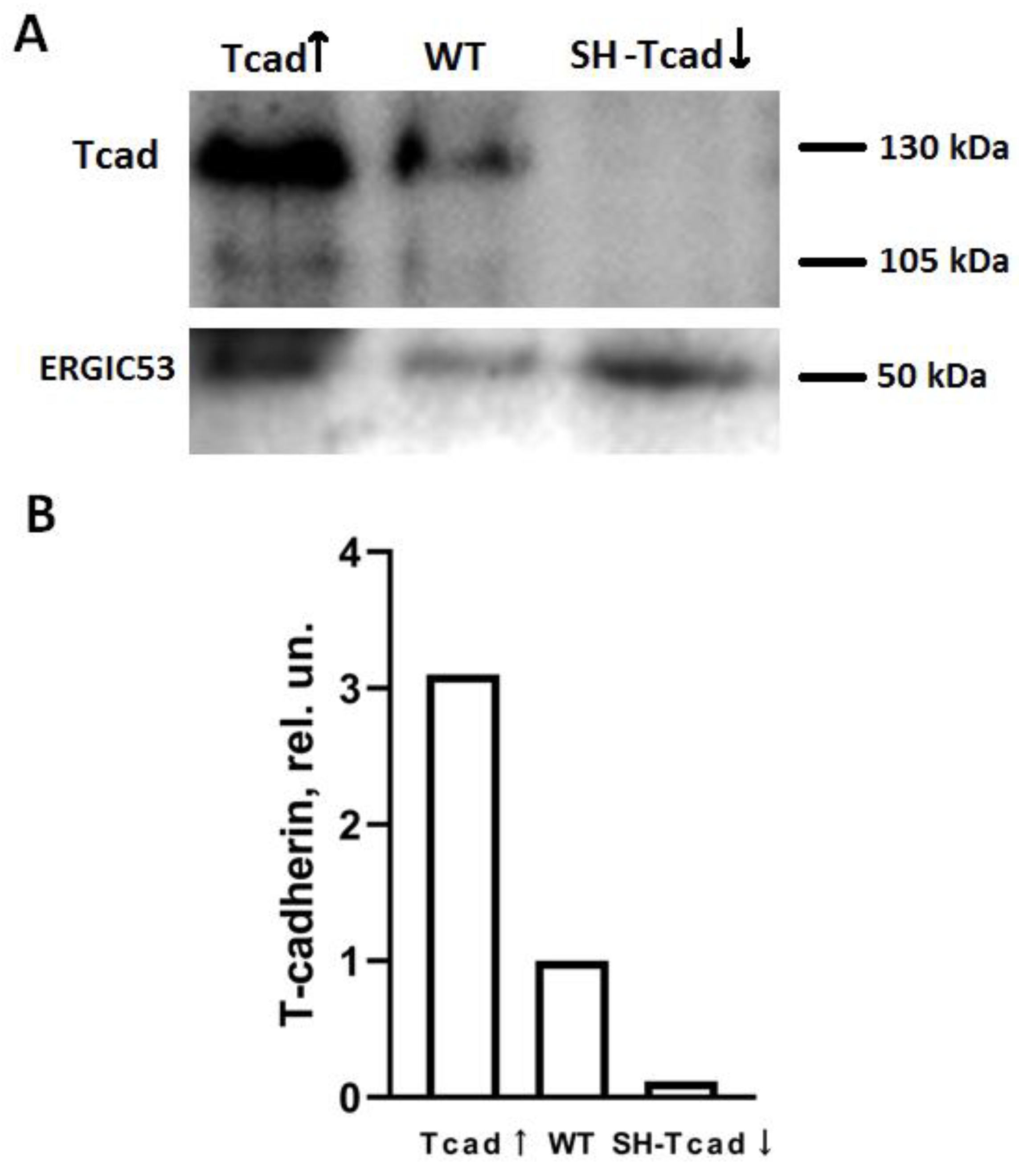Preprints 174324 g002