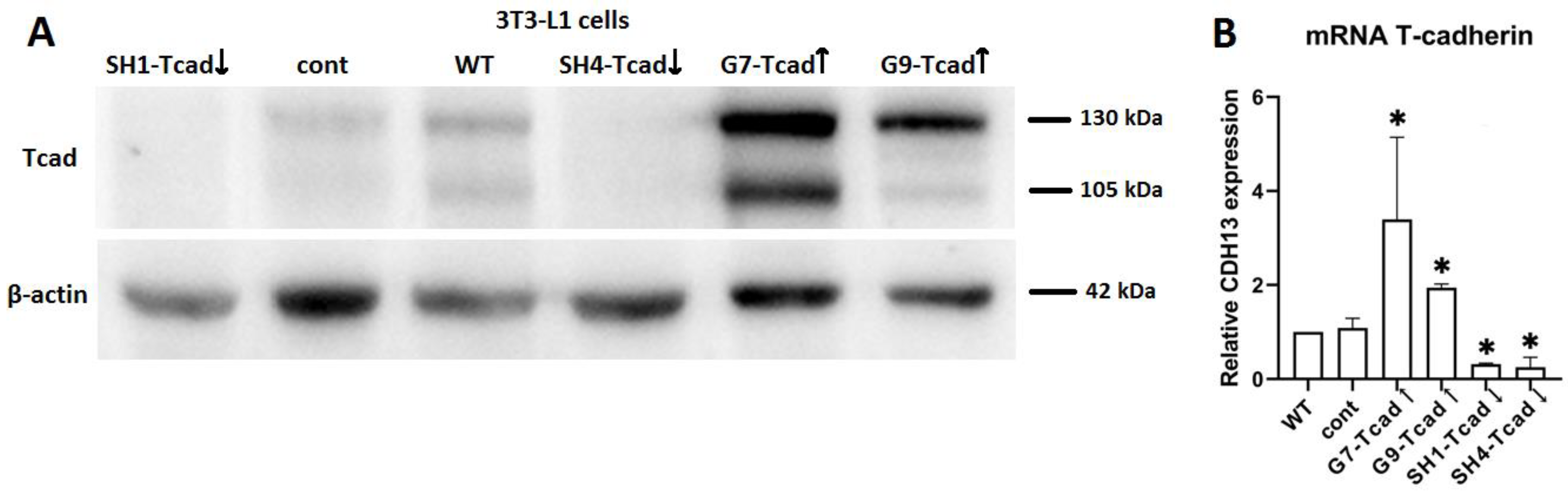 Preprints 174324 g005