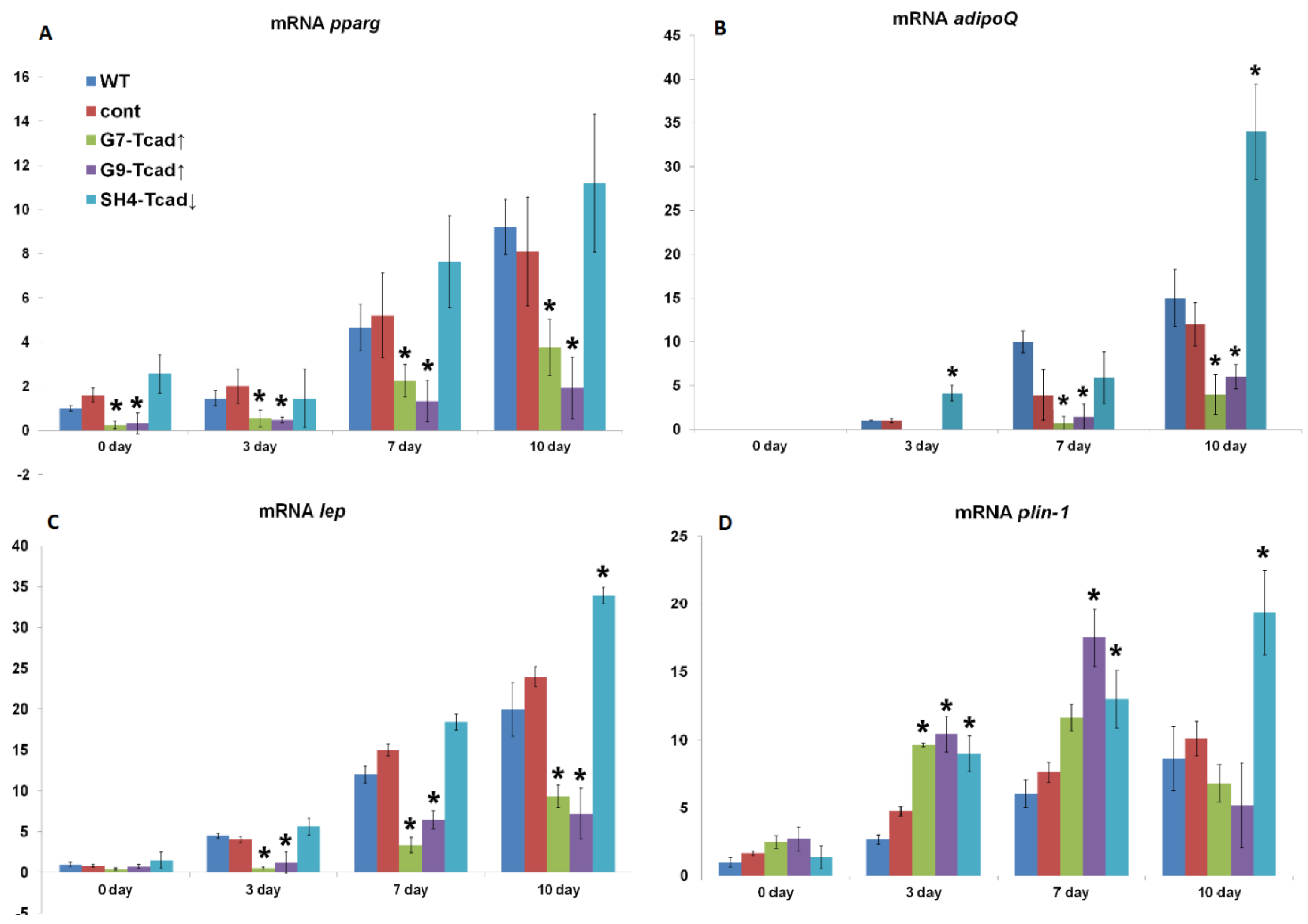 Preprints 174324 g006
