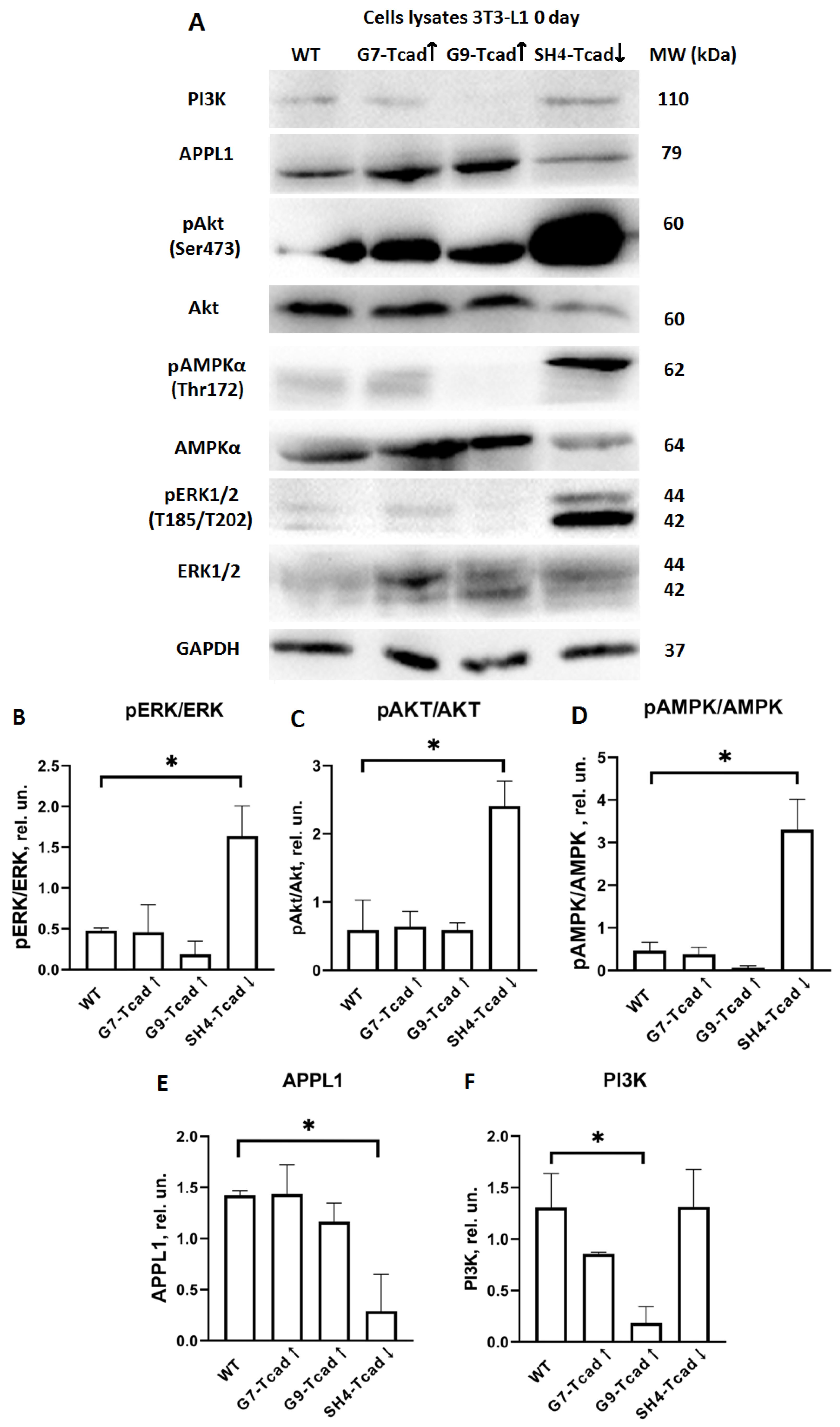 Preprints 174324 g007