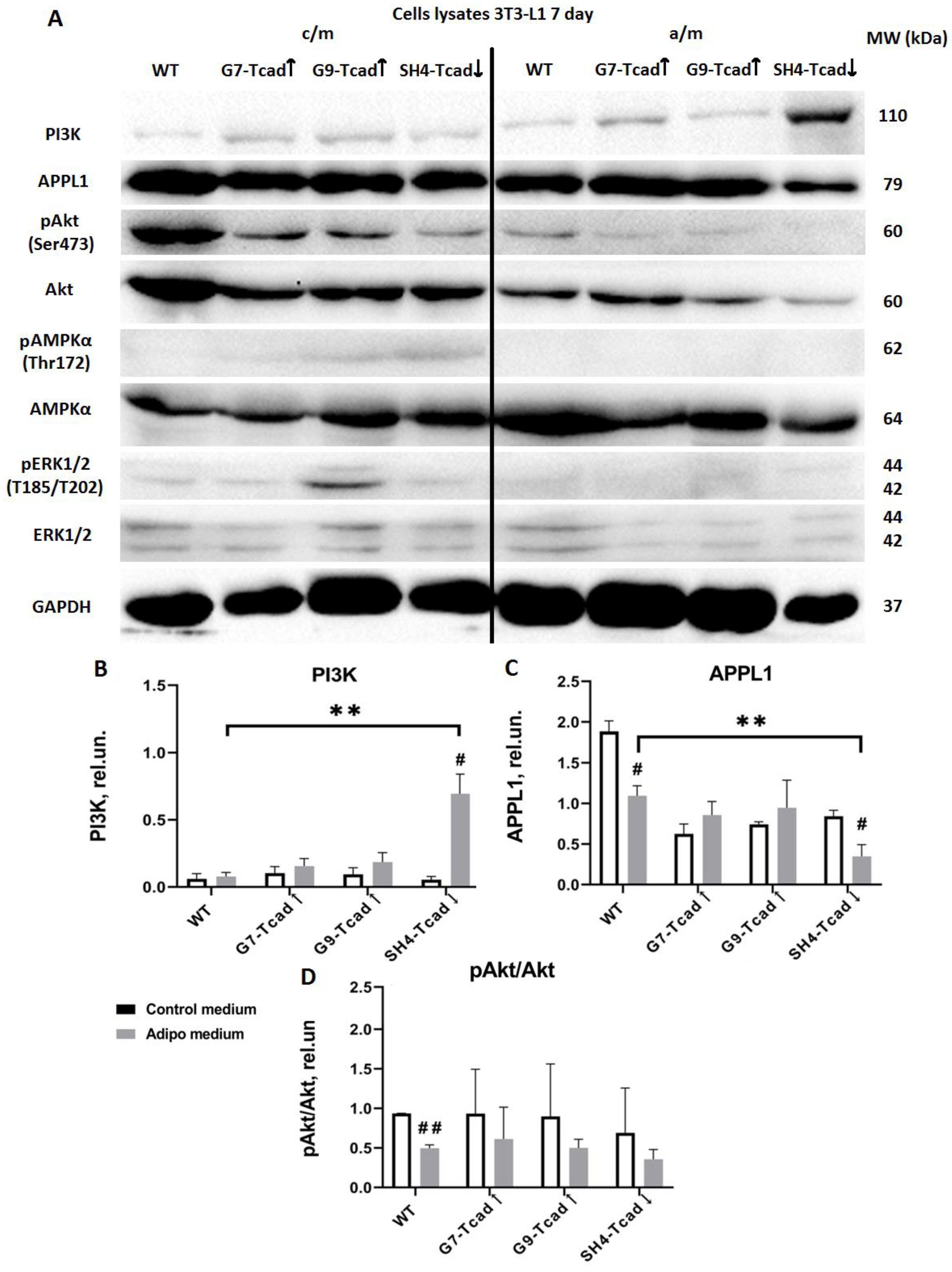 Preprints 174324 g008