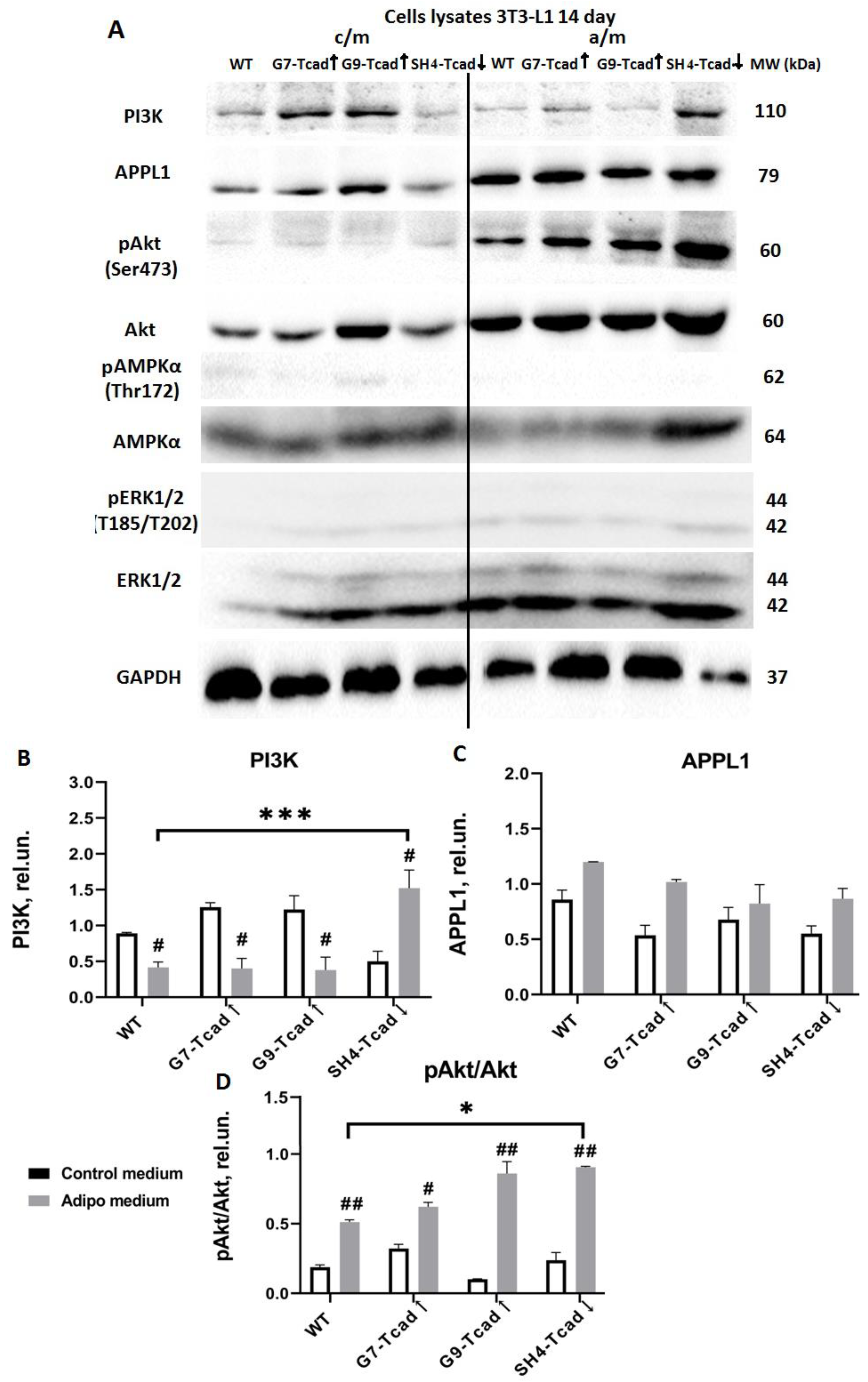 Preprints 174324 g009