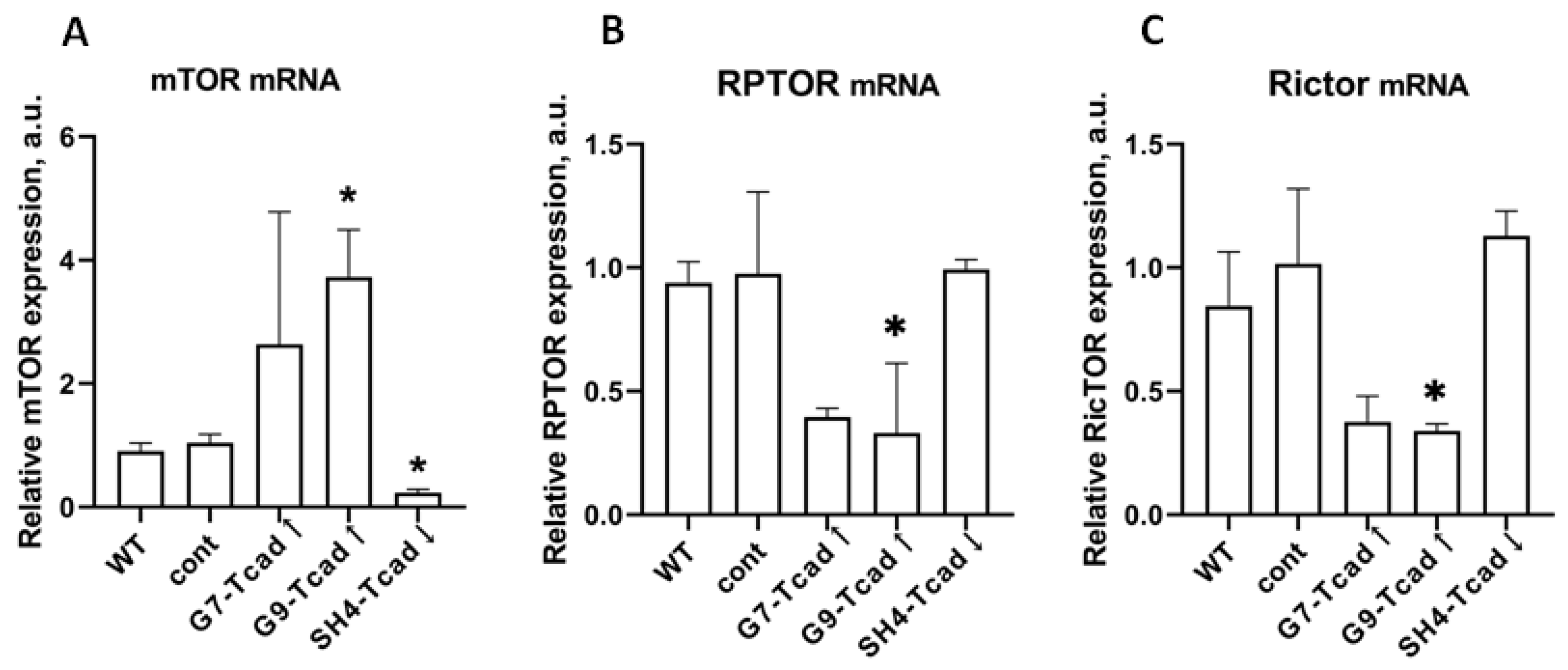 Preprints 174324 g010