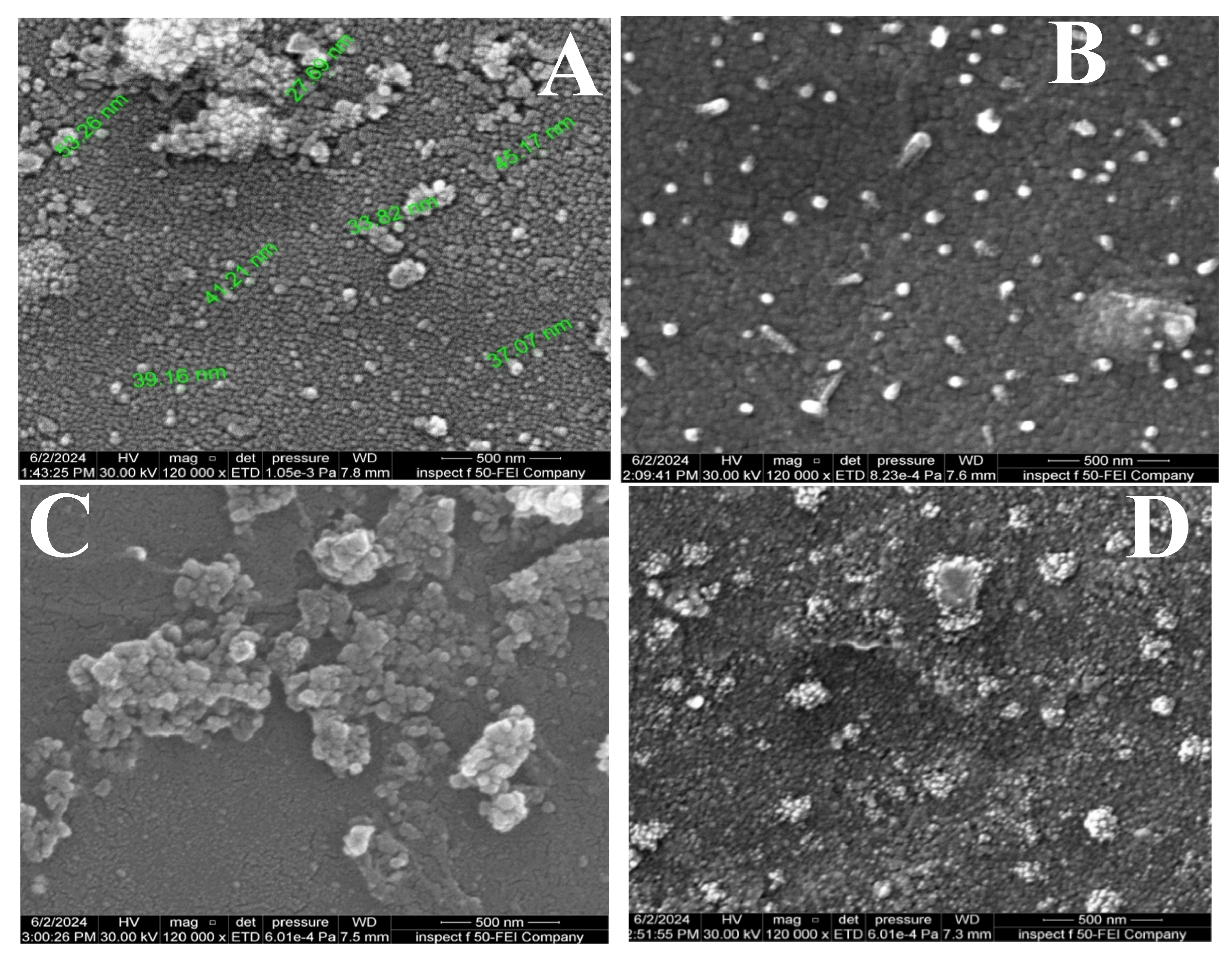 Preprints 198948 g005