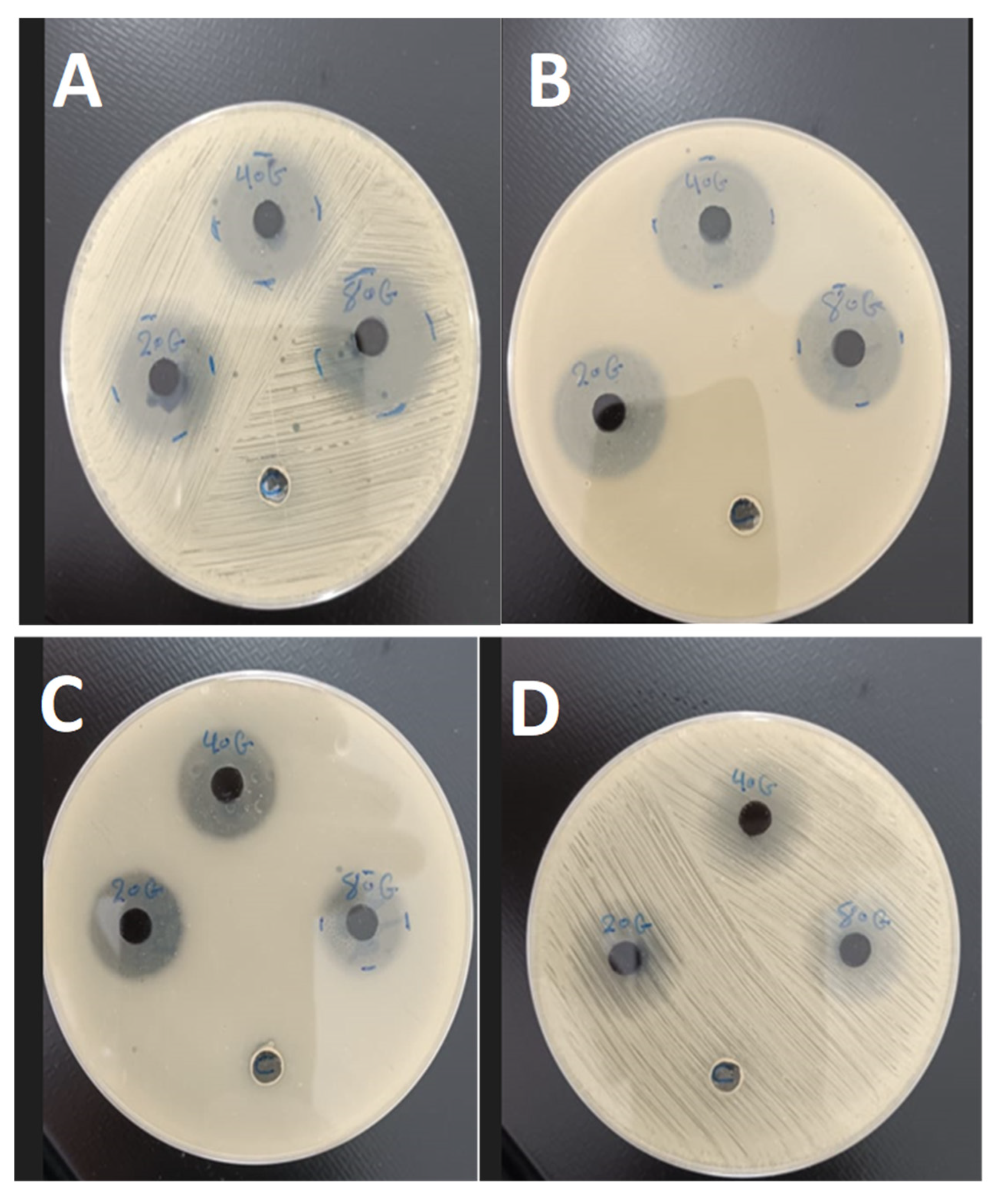 Preprints 198948 g006