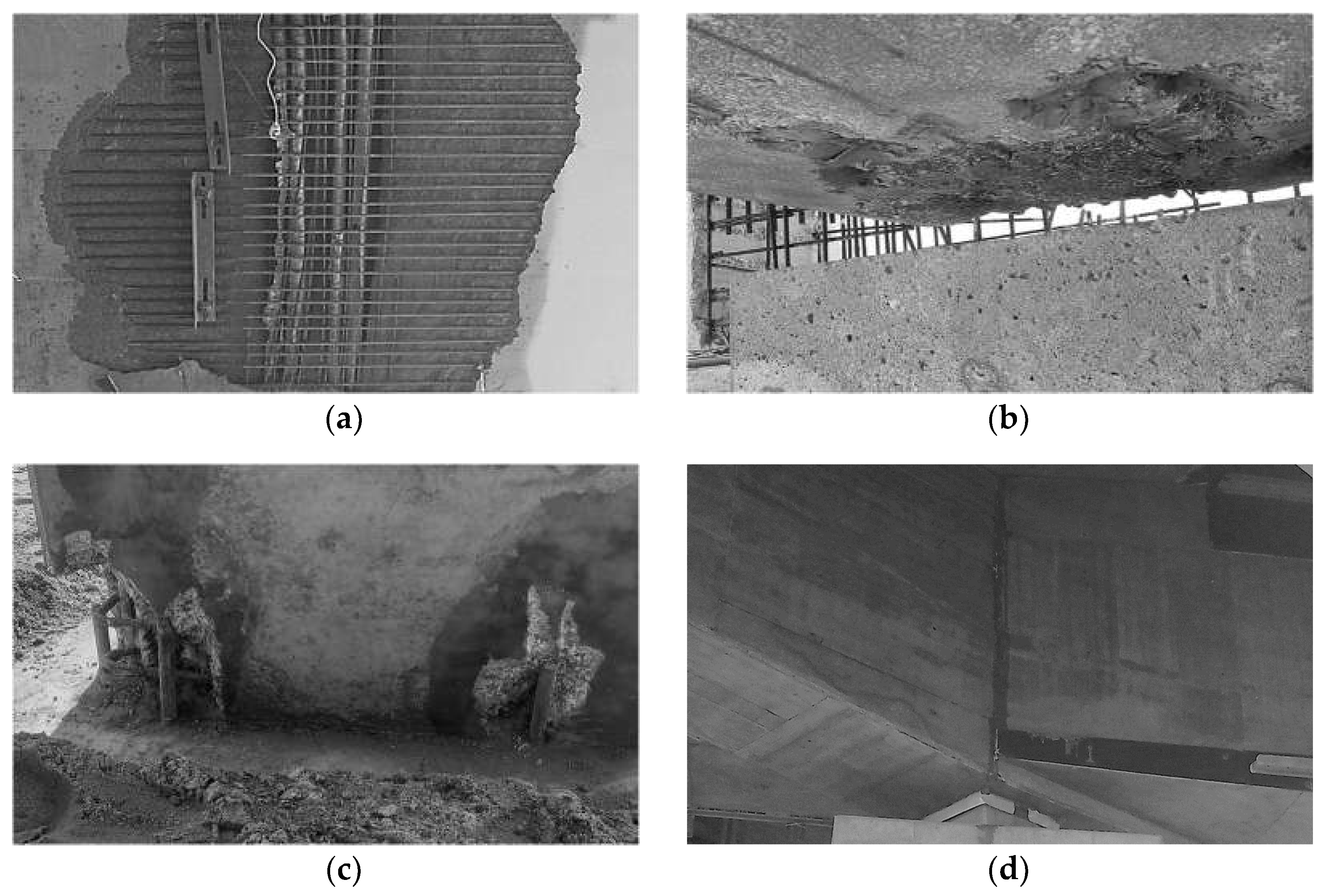 Preprints 139171 g003
