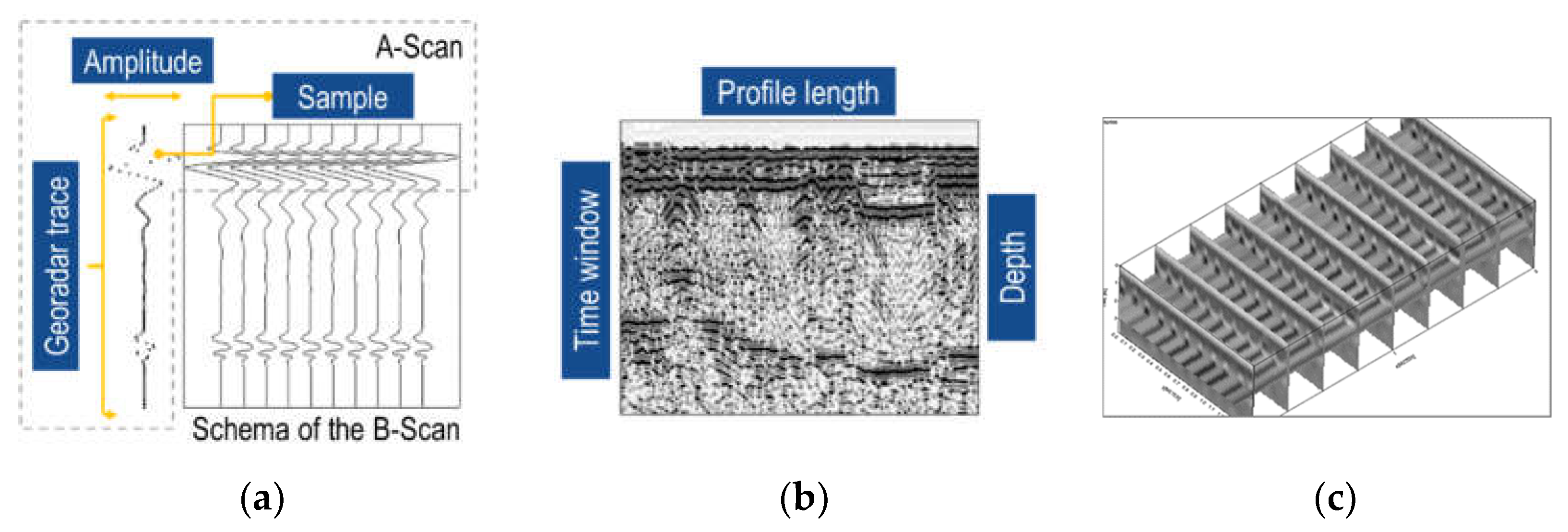 Preprints 139171 g010