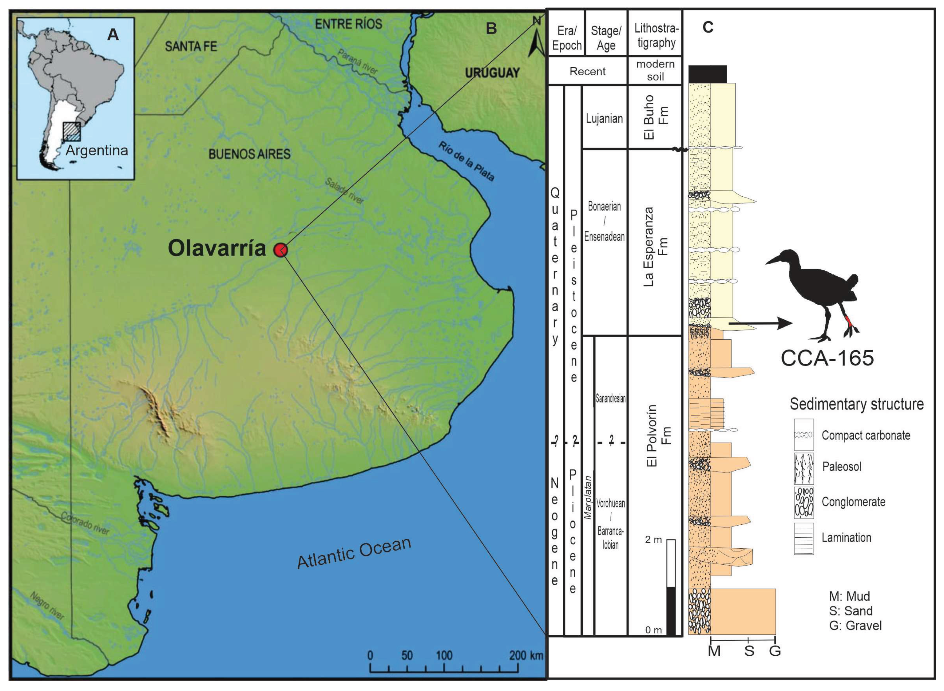 Preprints 176722 g001