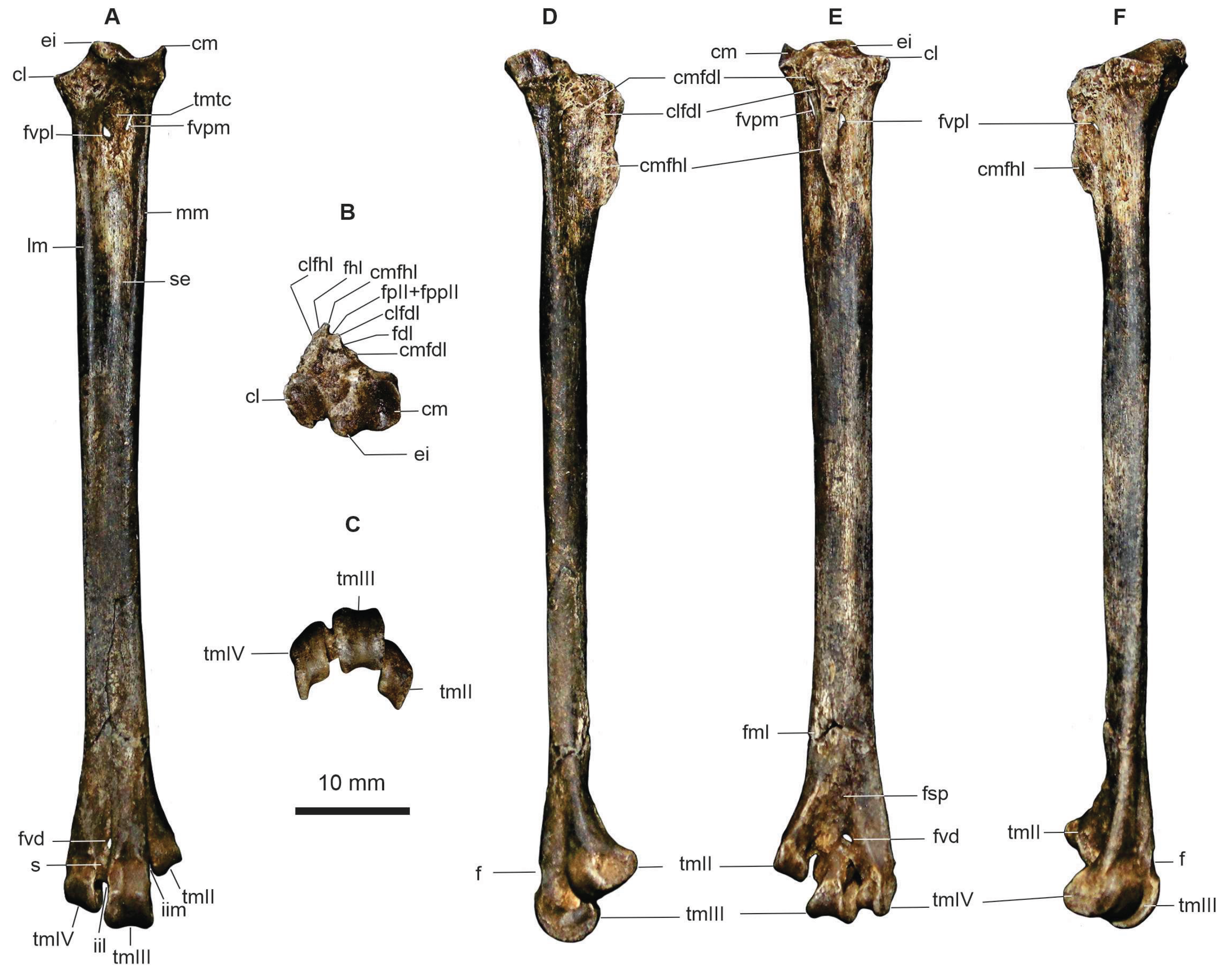 Preprints 176722 g002
