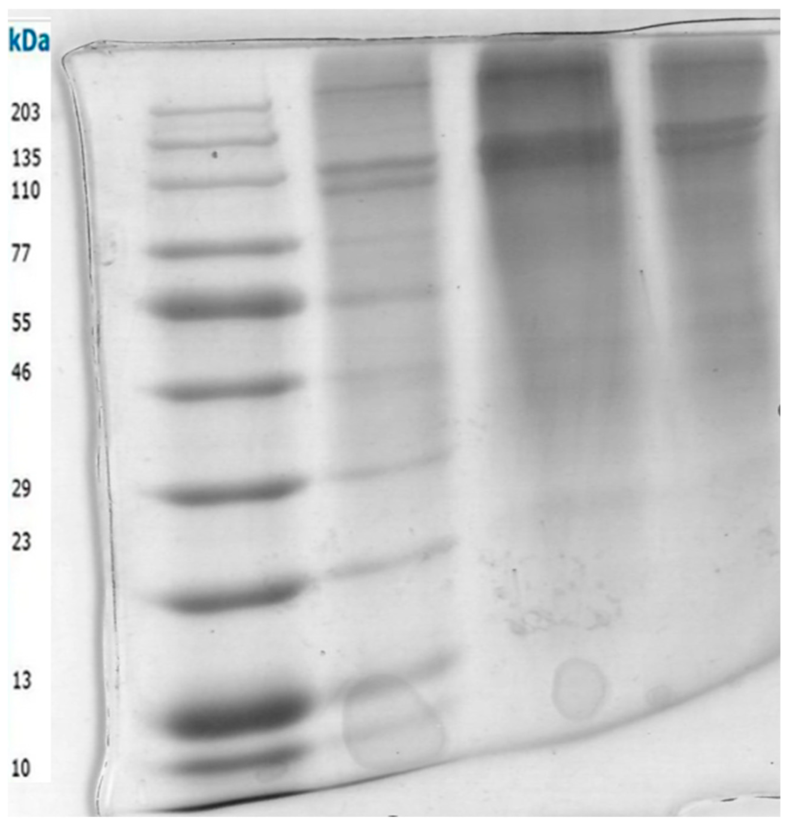 Preprints 138469 g003