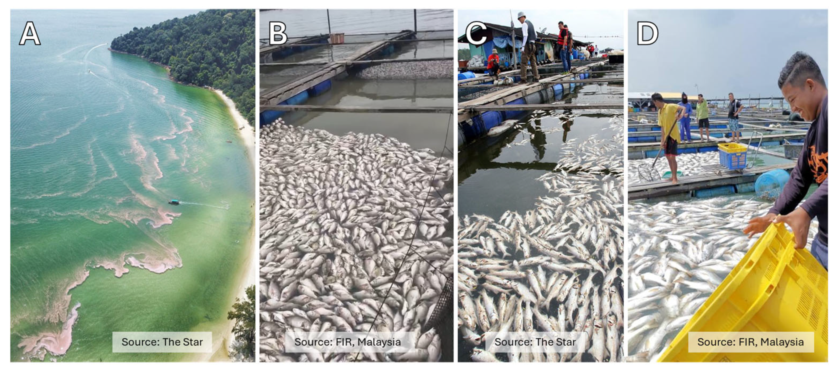 Preprints 109608 g003