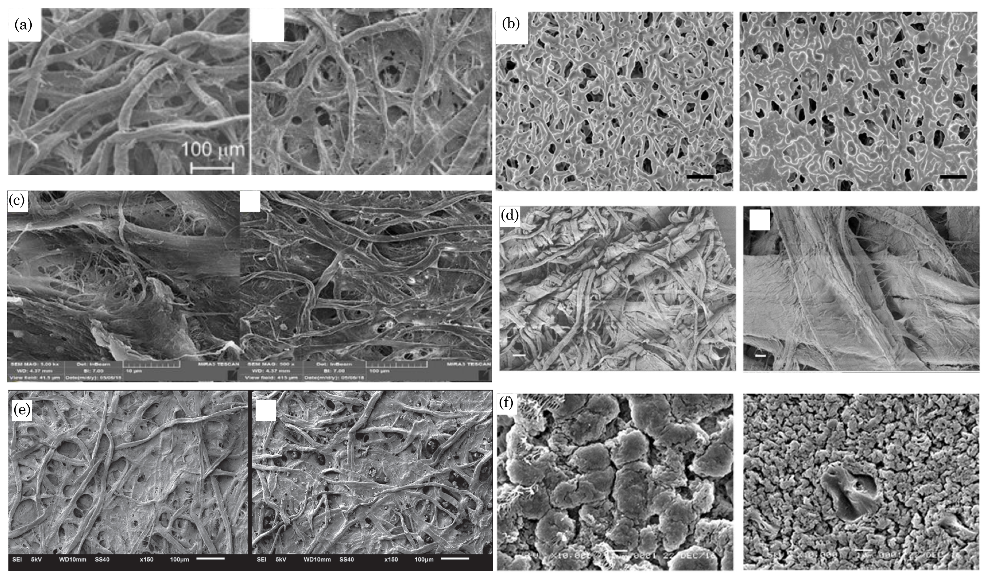Preprints 106420 g001