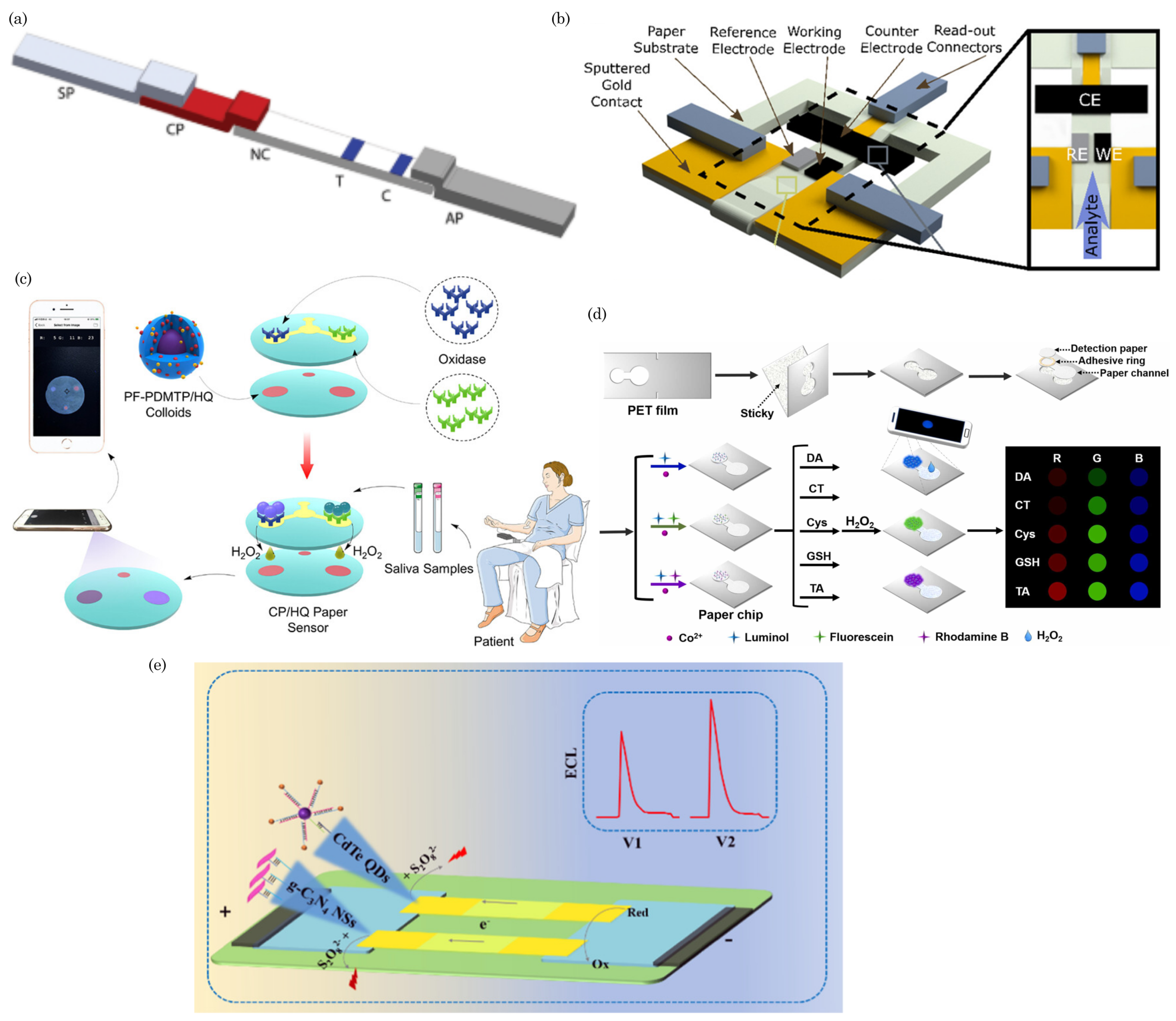 Preprints 106420 g004