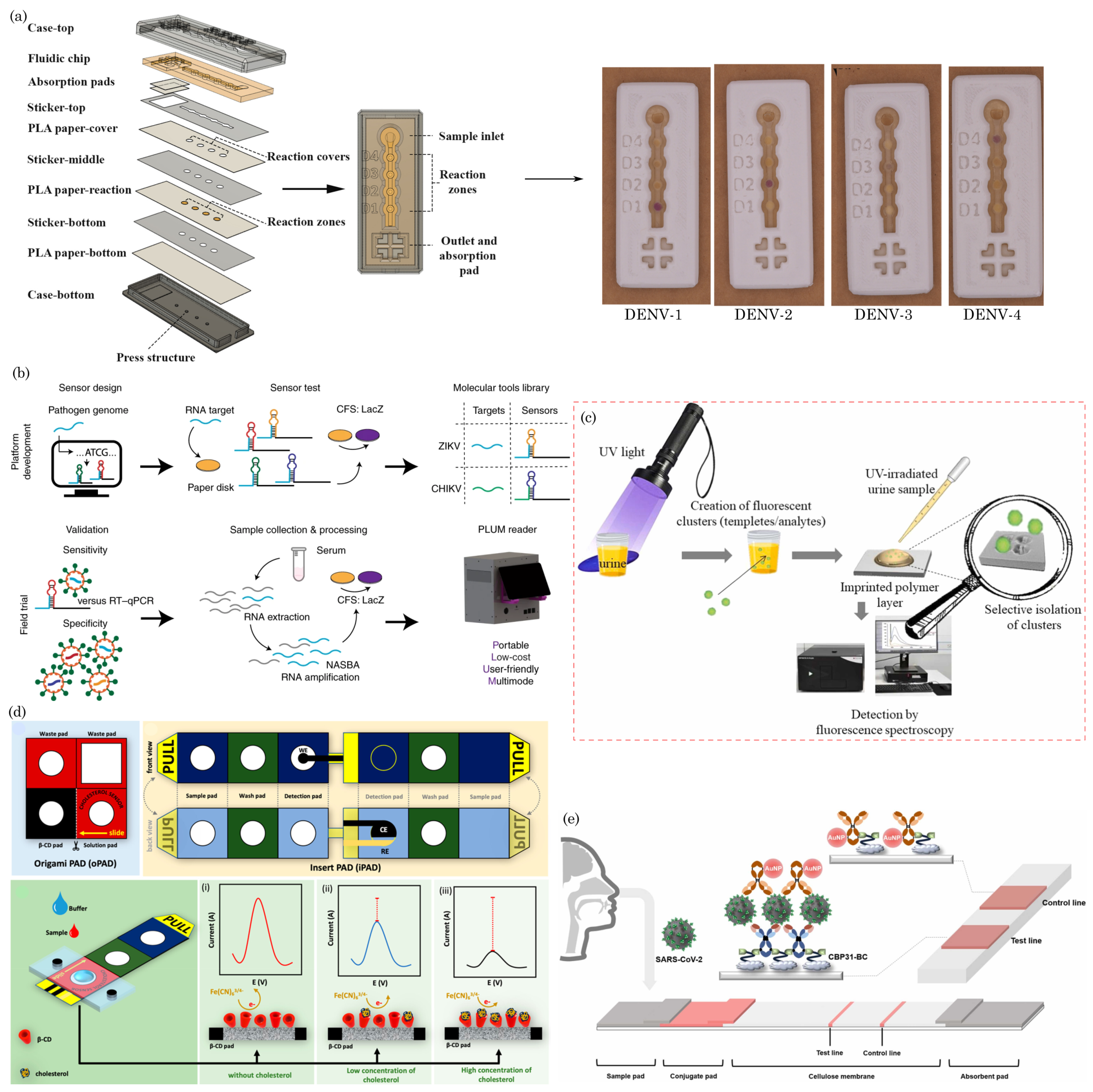 Preprints 106420 g005