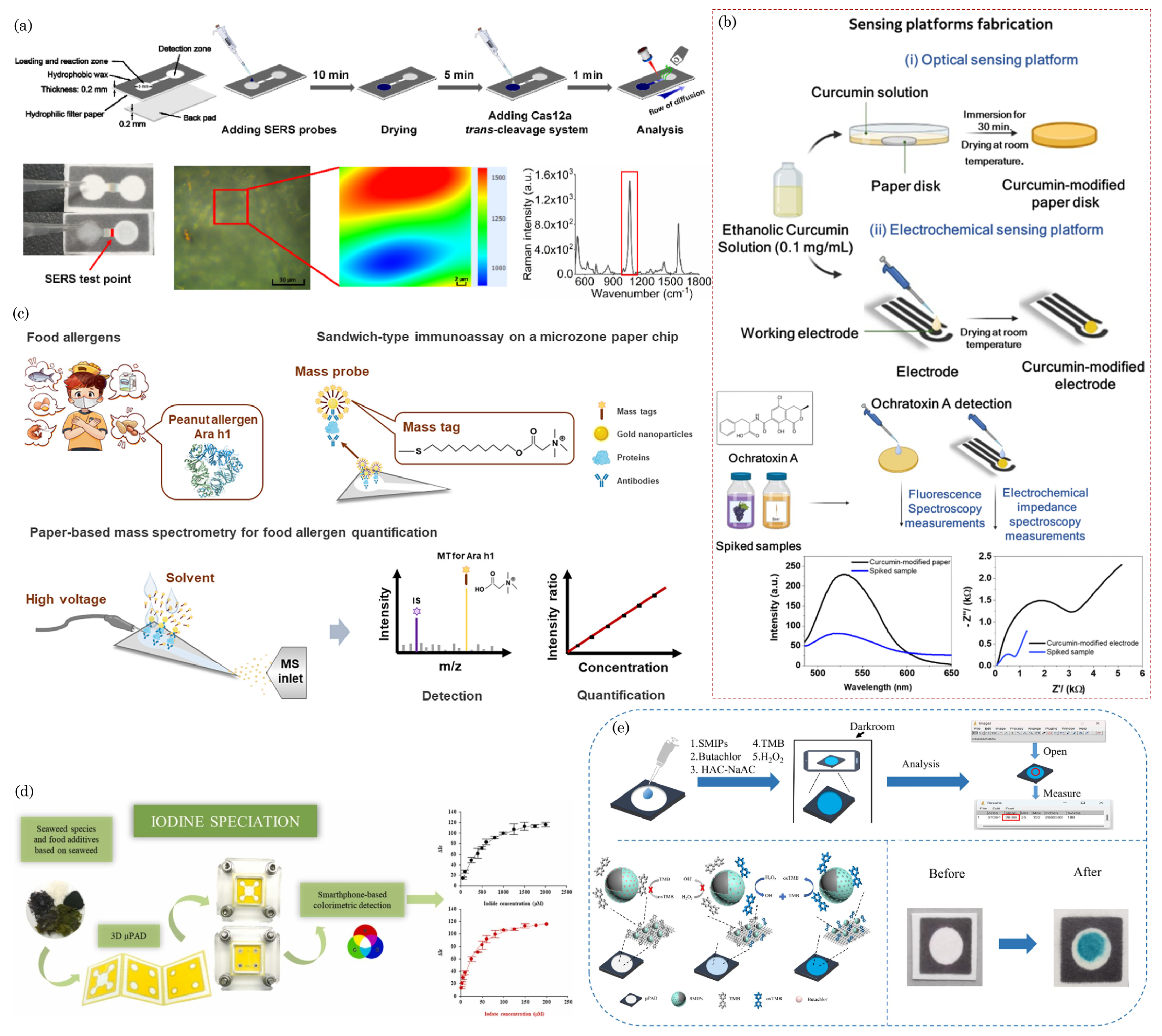 Preprints 106420 g010