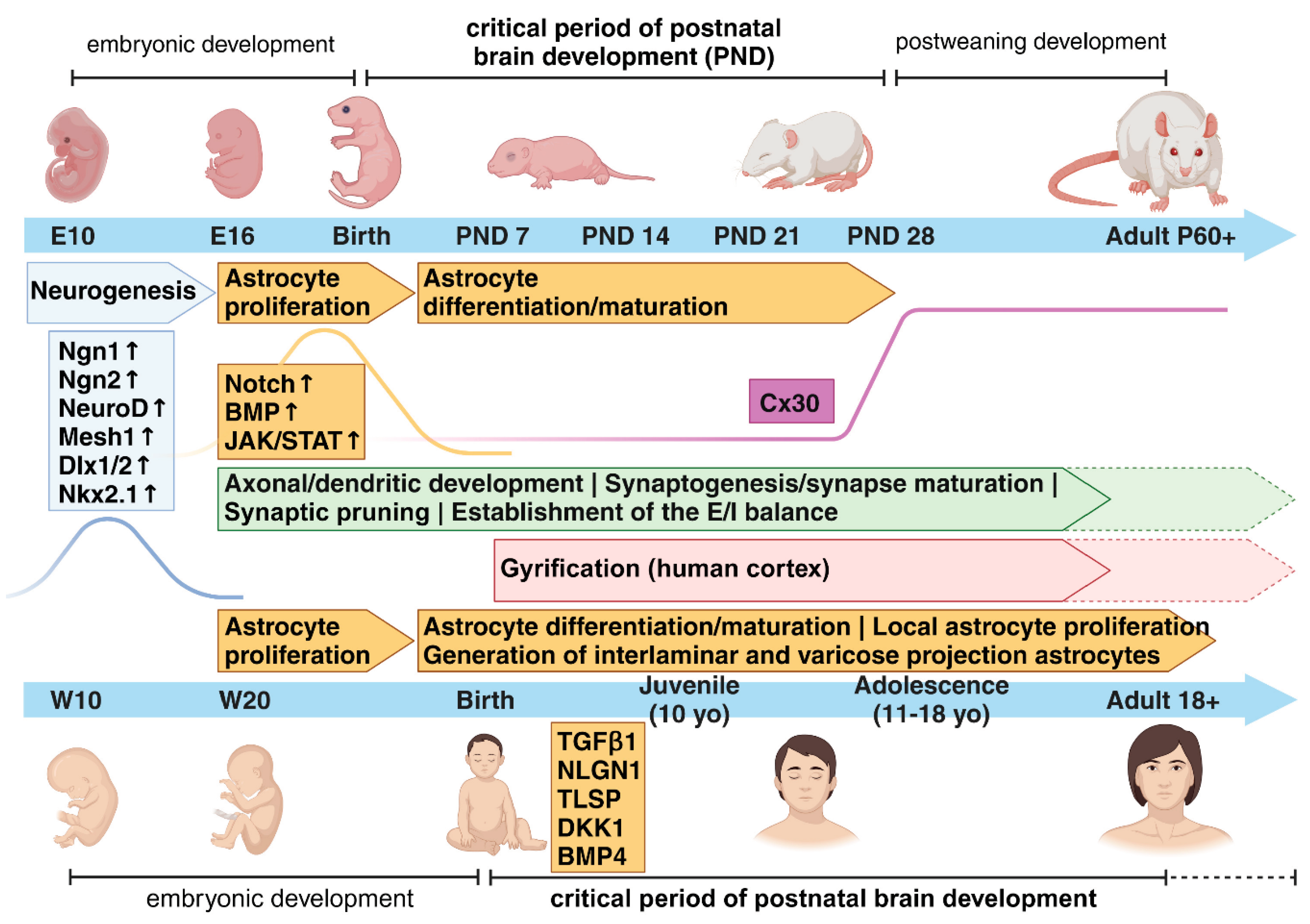 Preprints 101214 g001